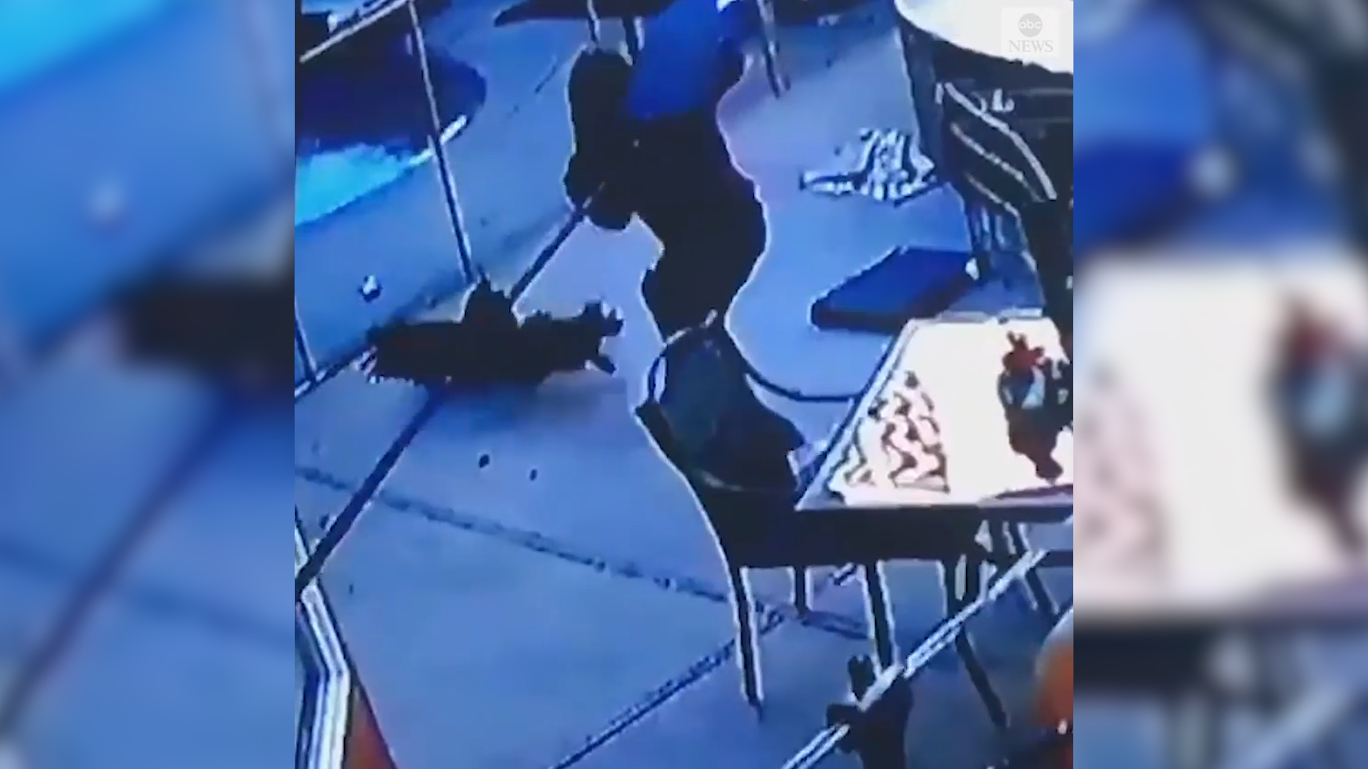 (Foto: Captura de pantalla)