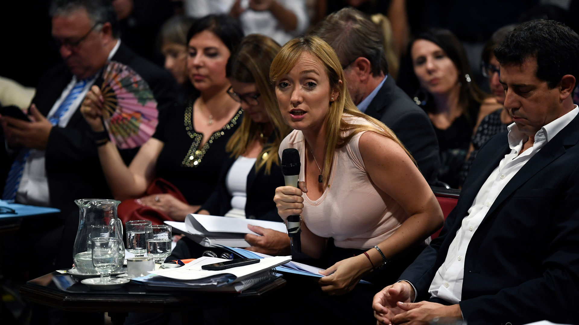 (Foto: Pablo Grinberg / Comunicación Senado)