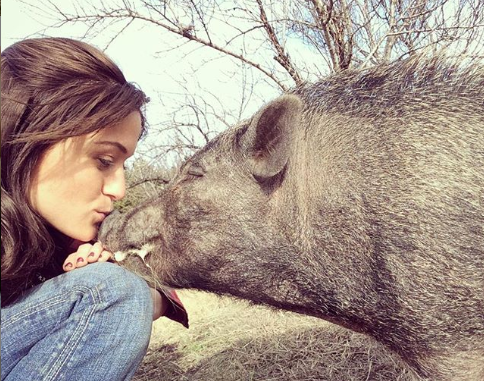 Para mantener su granja, la estadounidense tiene que afrontar grandes costos (Foto: Instagram @adrirachelle)