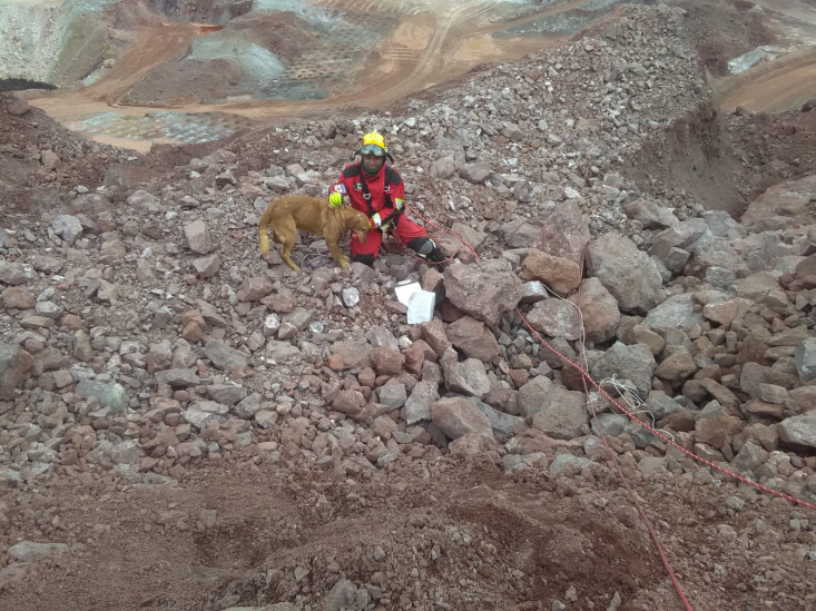 Puppy durante un operativo de rescate (Foto: Twitter @PCJalisco)