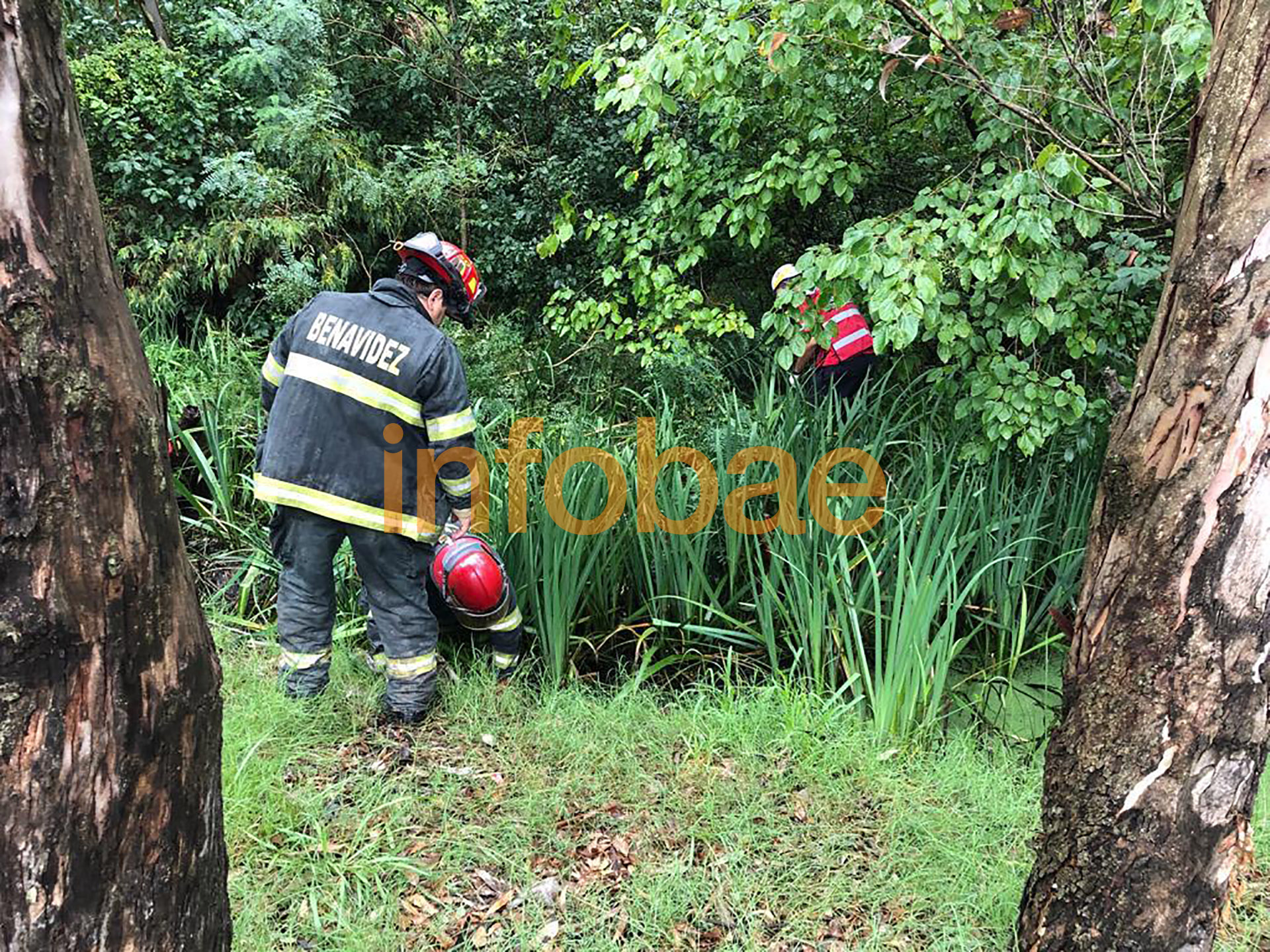 Pericias en Xanadú
