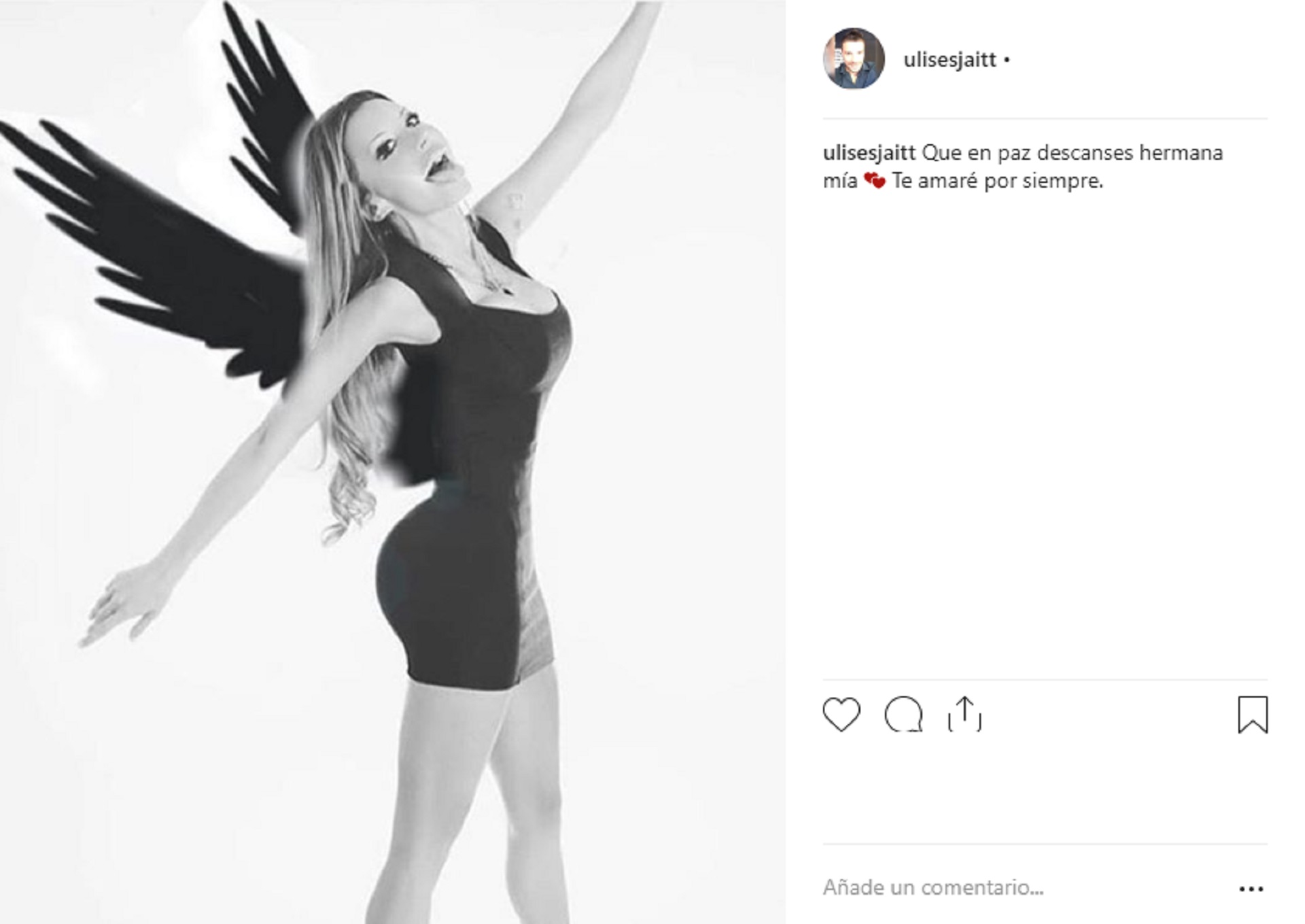 El mensaje con el que Ulises despidió a su hermana a través de las redes sociales