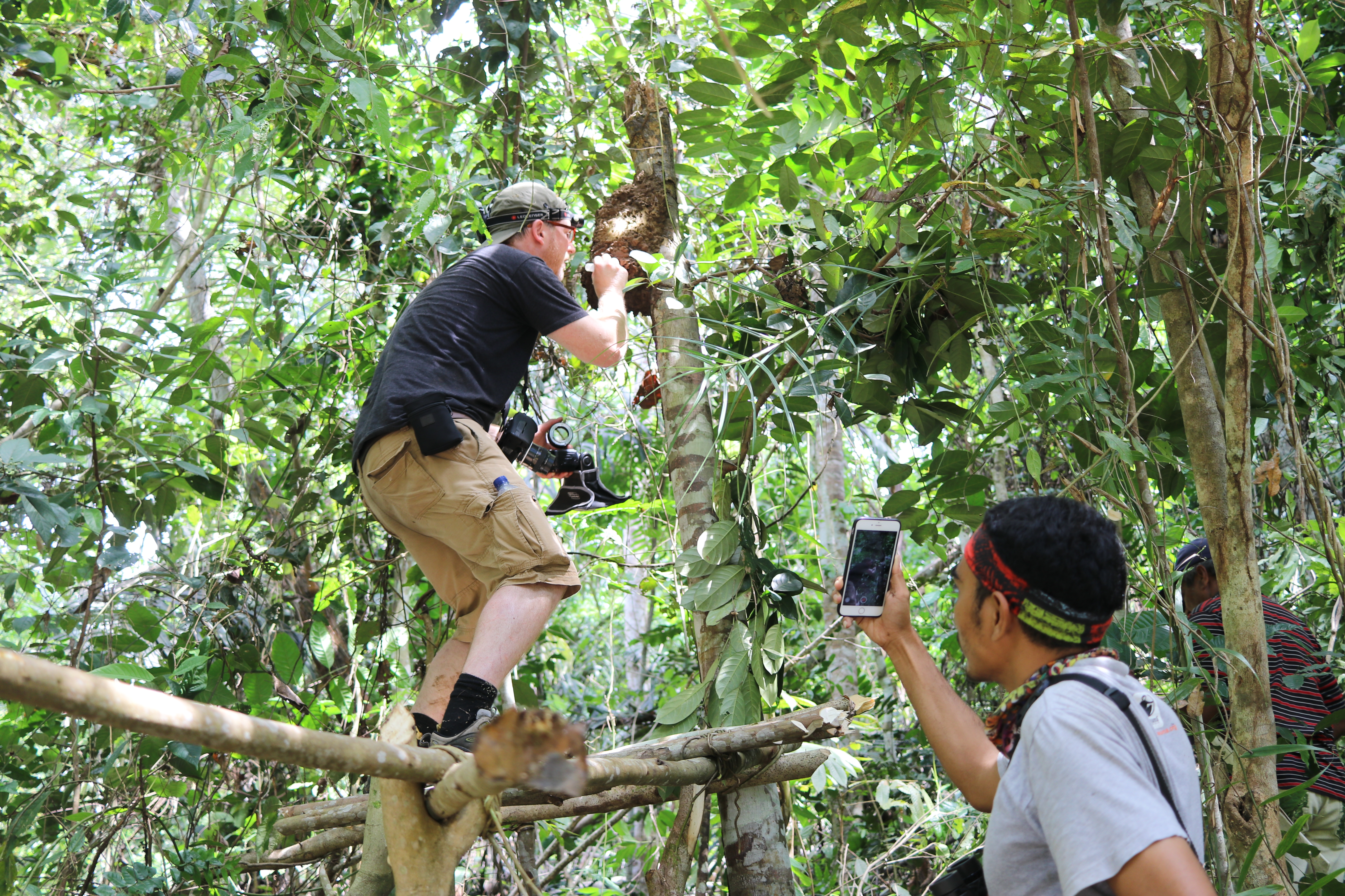 El fotógrafo Clay Bolt, a la izquierda, y un guía, Iswan, tomando fotos del nido de la “Megachile pluto” en las islas Molucas septentrionales de Indonesia Foto: Simon Robson