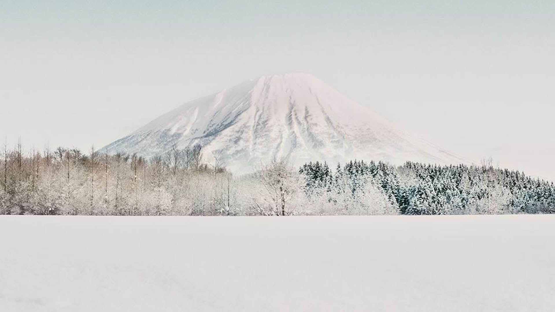 El esquí y el snowboard son dos de las actividades más populares en Niseko gracias a su nieve de alta calidad (Instagram: @piricamera)