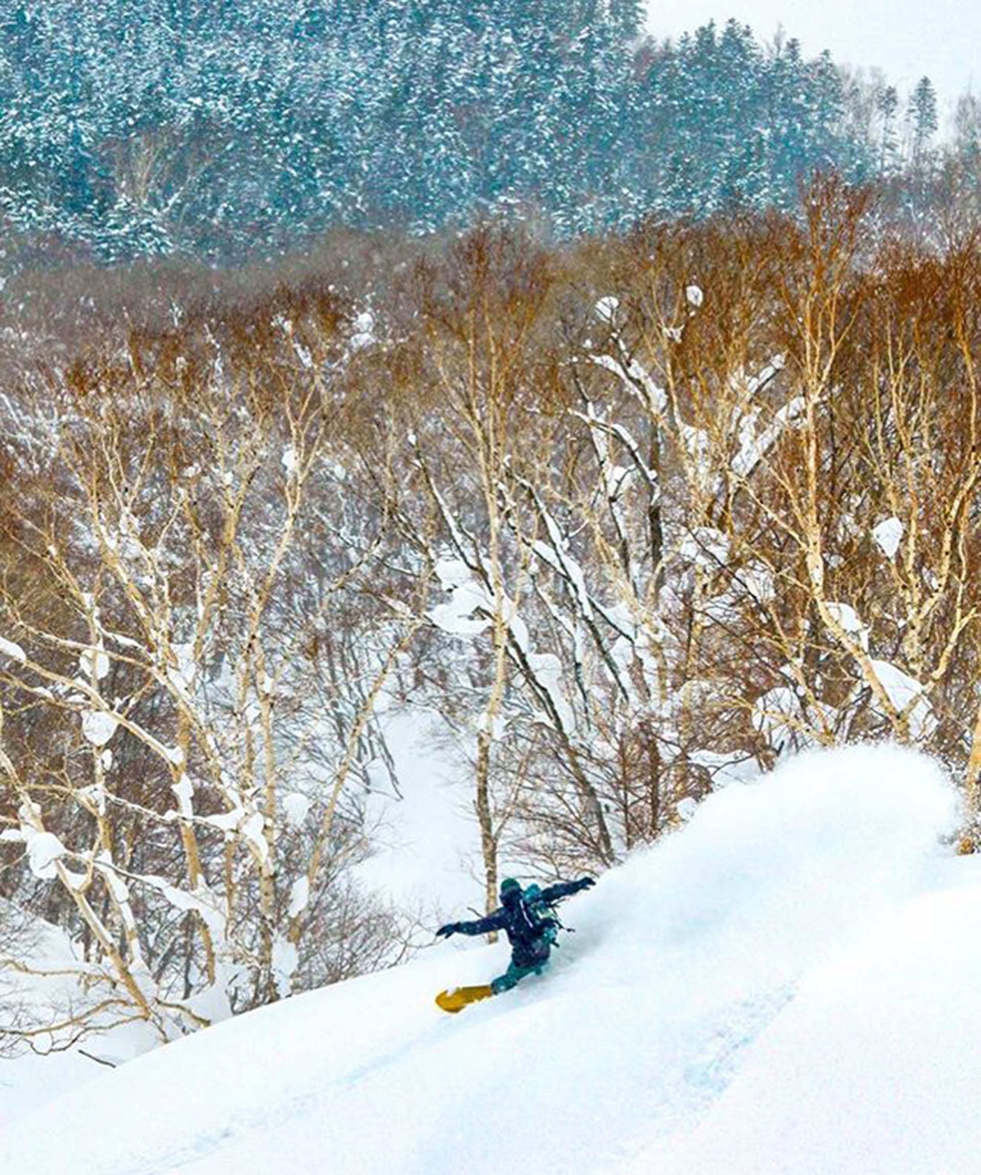 Gracias a su vasta belleza natural, atrae especialmente a los amantes del aire libre y de los deportes de invierno como el esquí y el snowboard (Instagram: @maniaochi)