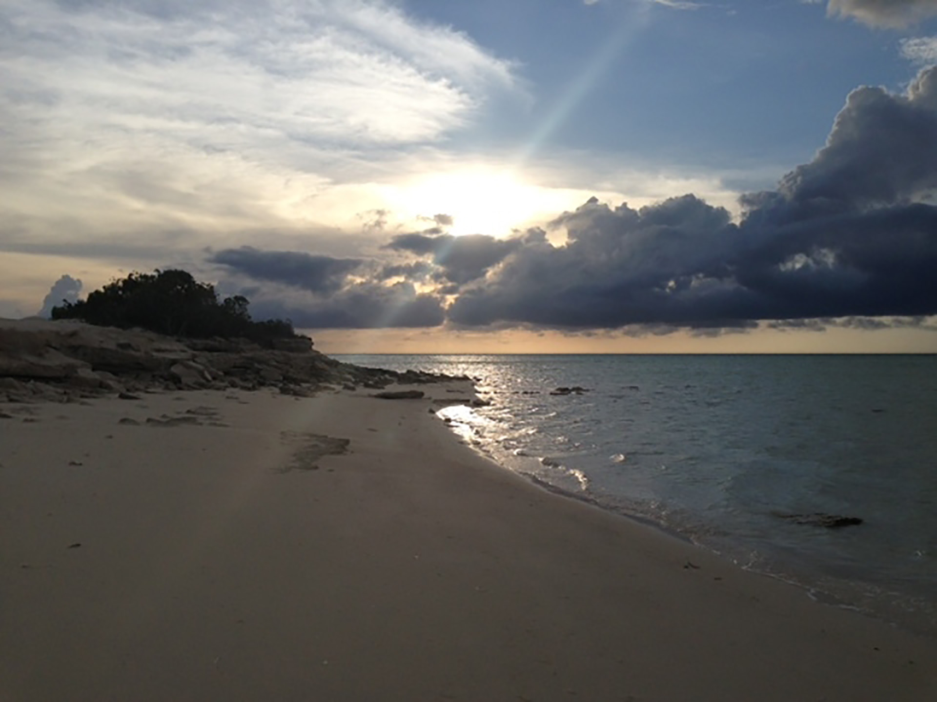 Parrot Cay