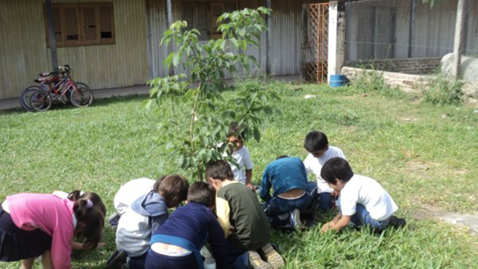 Clase de ciencias naturales en una escuela chaqueña