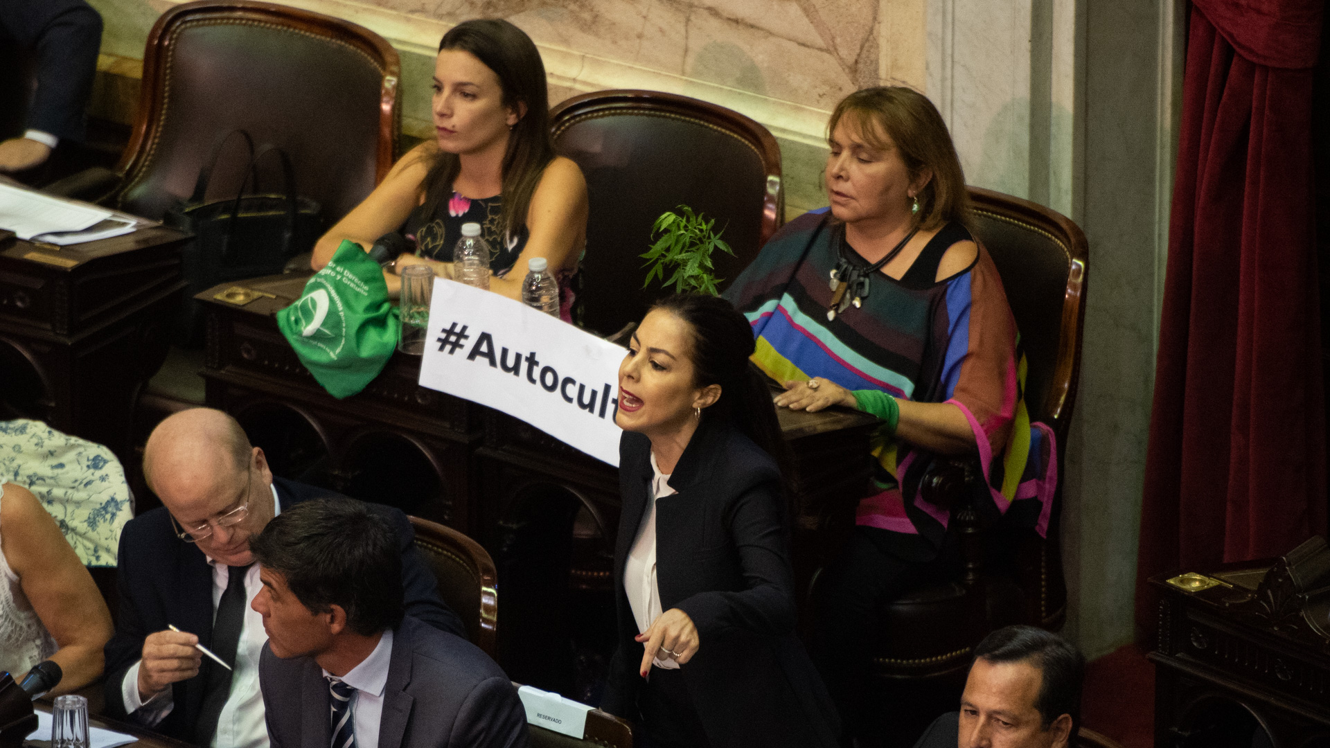 La diputada Araceli Ferreyra ingresó con una planta de cannabis al recinto