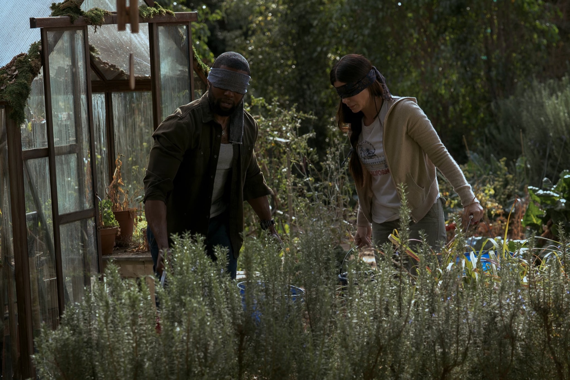 Bird box, la película de Netflix protagonizada por Sandra Bullock.