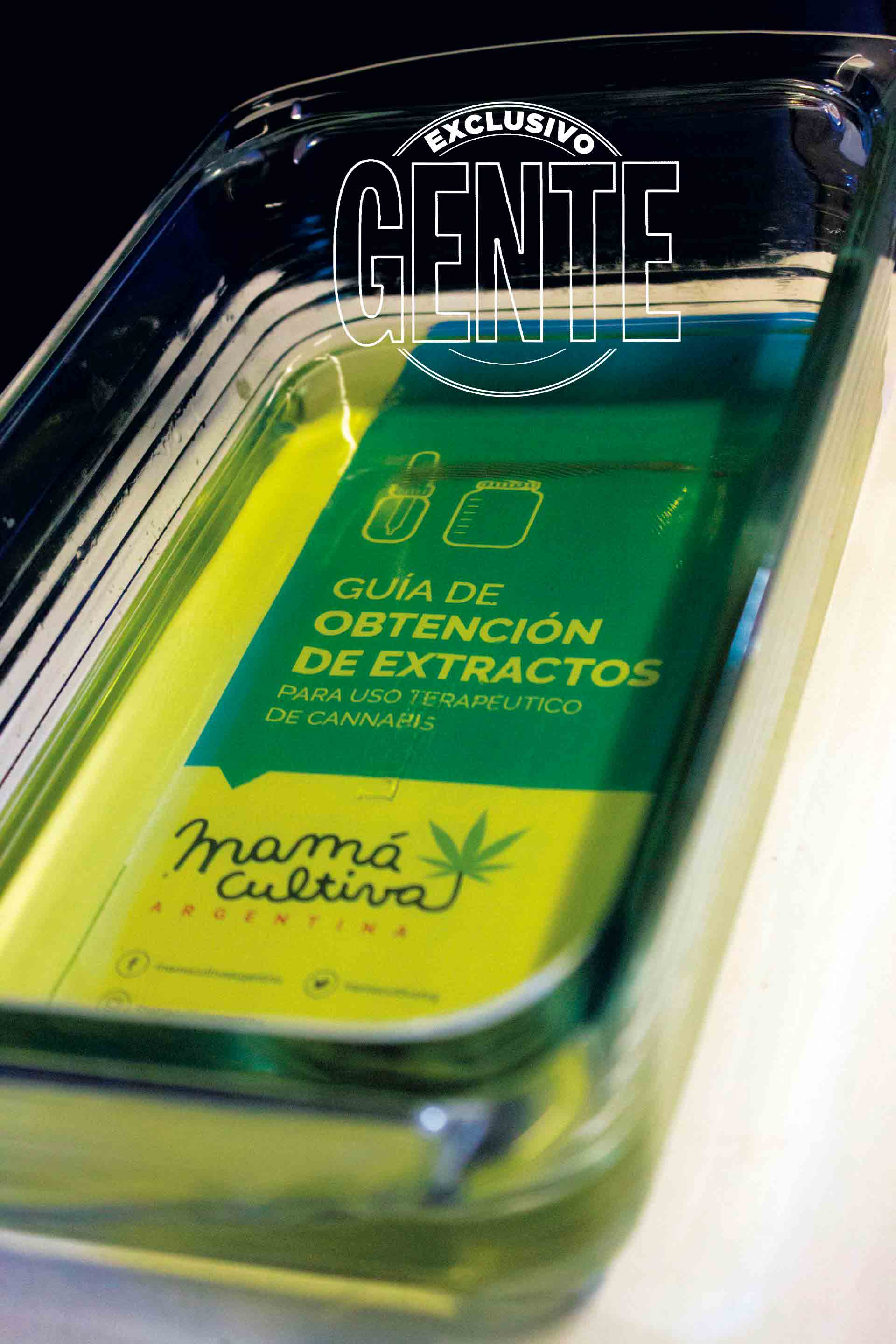 El aceite de cannabis que produce la ONG Mamá Cultiva.