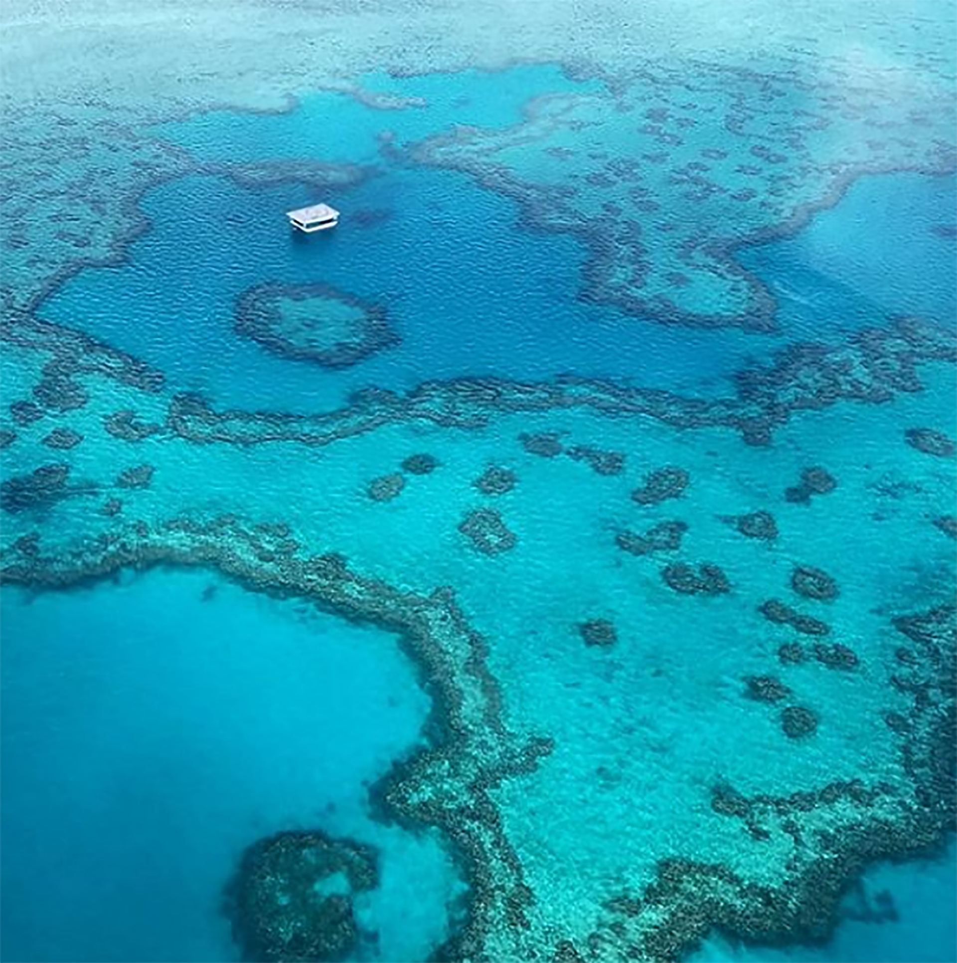 La barrera del coral desde el cielo (@me_cash)