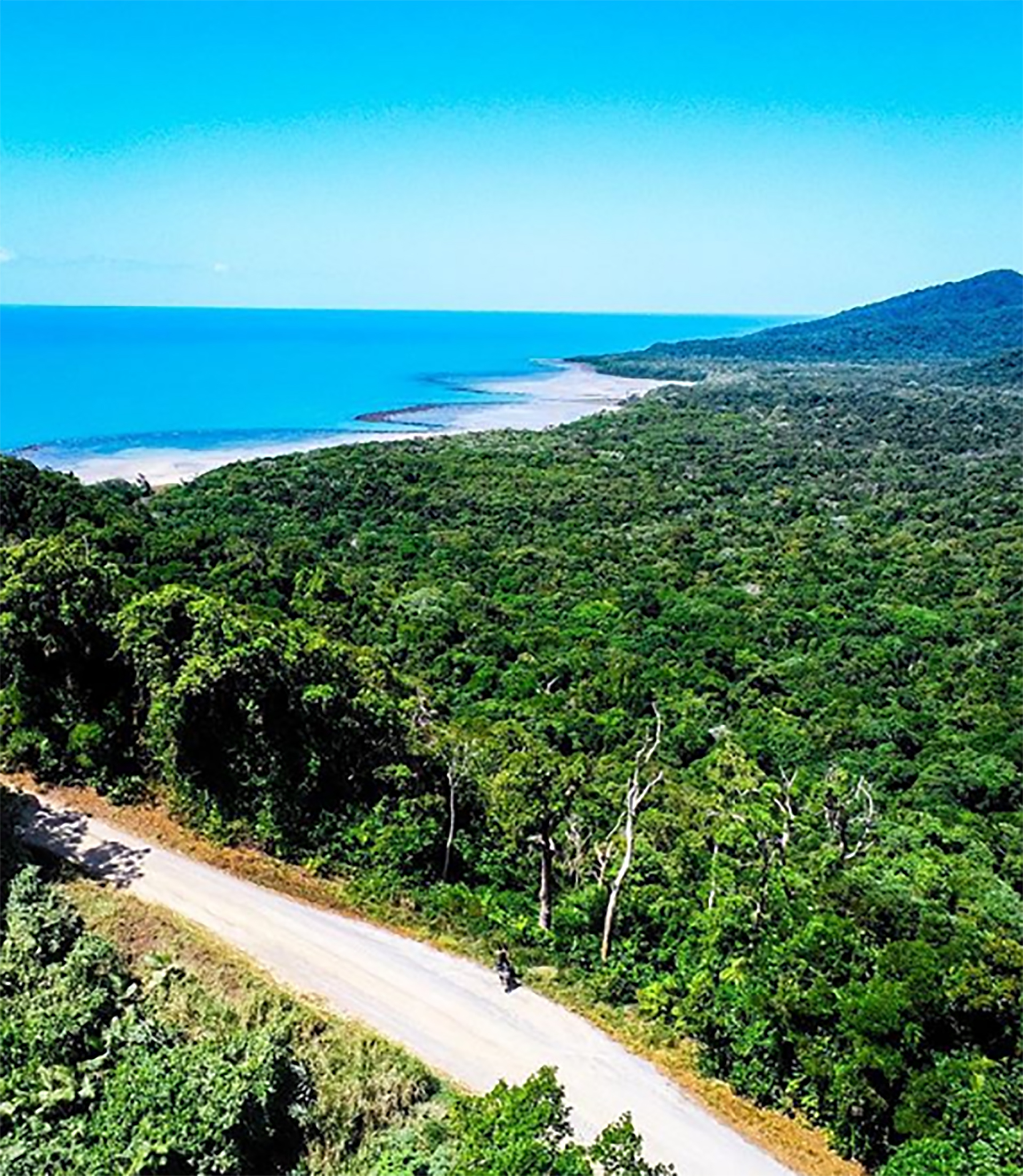 El bosque tropical de Daintree es el más antiguo de la tierra (@oneridearmy)