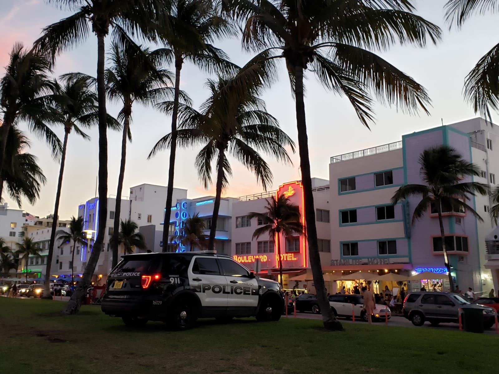 Miami y Miami Beach además de una profunda movida nocturna y contrariamente a lo que muchos pueden pensar ofrecen atracciones culturales completamente gratis