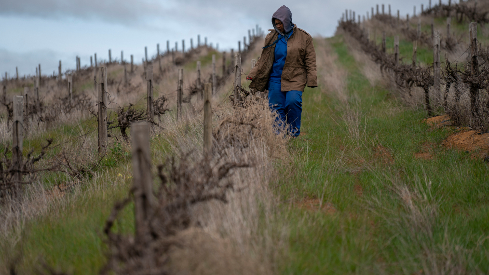 Erigiendo una choza en la región de Stellenbosch, la cual tiene fama por su vino. (Joao Silva/The New York Times)