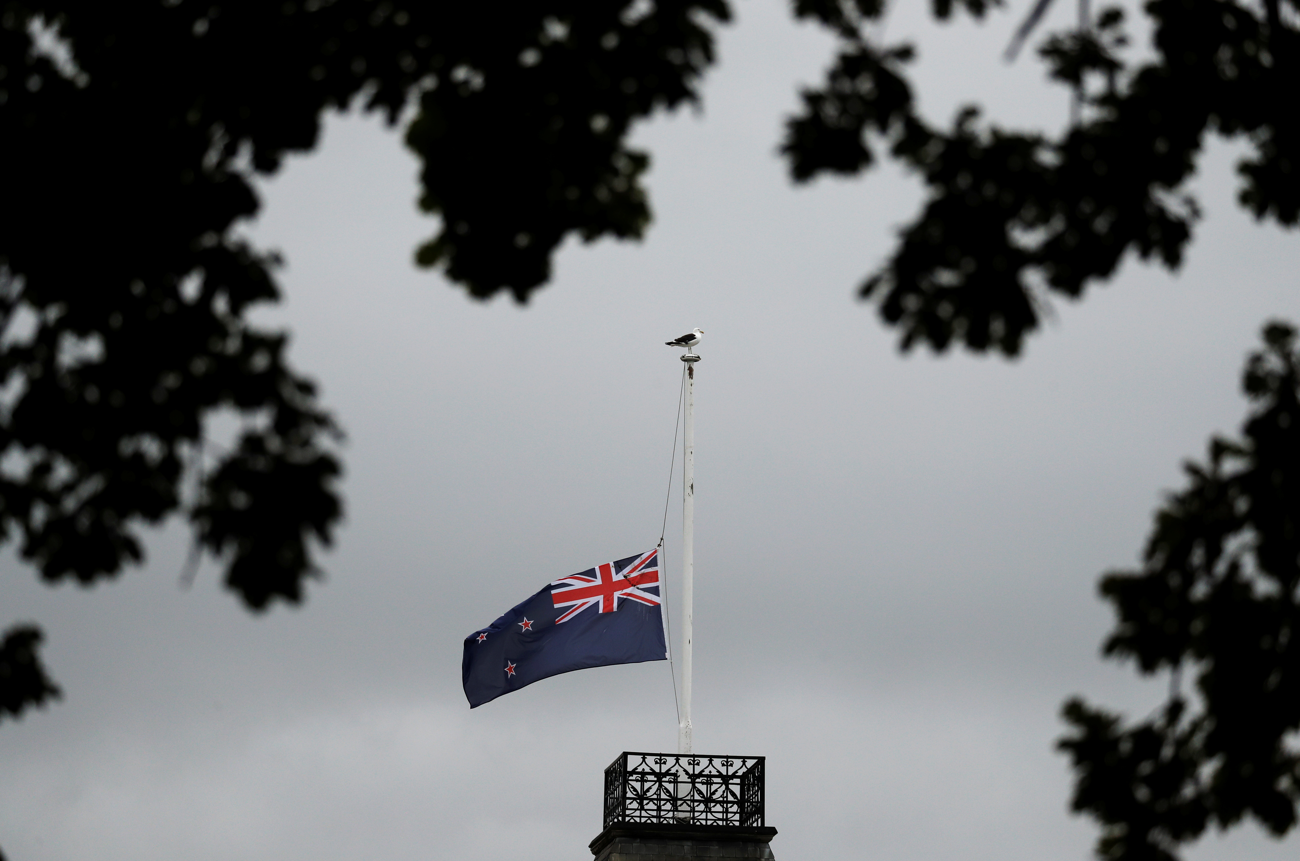 La bandera de Nueva Zelanda a media asta sobre la mezquita Masjid Al Noor tras el ataque del viernes en Christchurch, (REUTERS/Jorge Silva)
