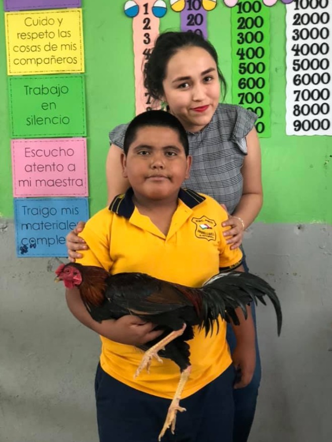 “Es un gallito maestra, escogí el más bonito que tenía para traérselo, no tengo dinero para comprarle nada”, dijo el menor (Foto: Facebook)