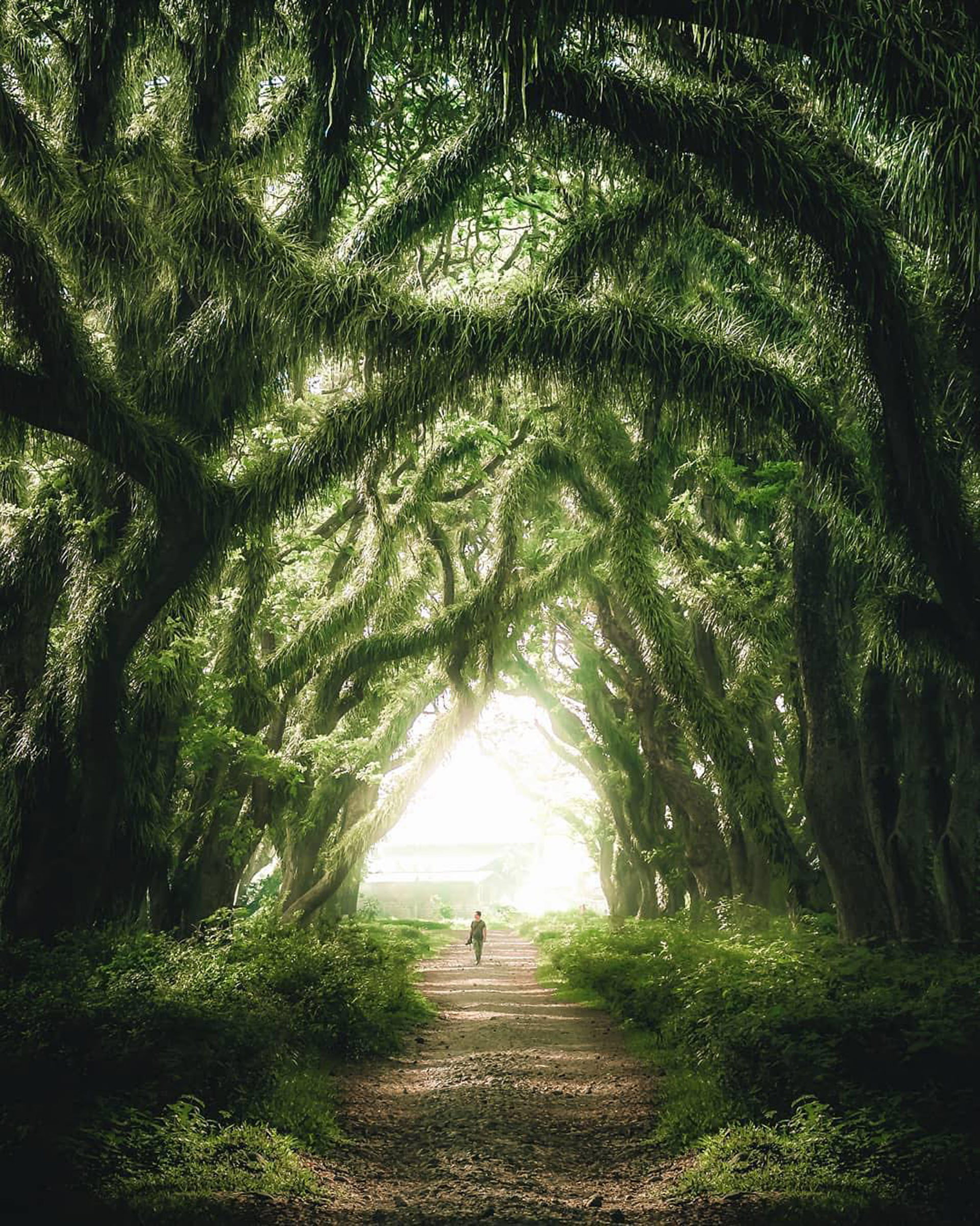 Los valles prácticamente desconocidos alrededor de Sidemen Road están ganando reputación entre los excursionistas interesados en evitar las multitudes alrededor de Ubud (Instagram / @indtravel)