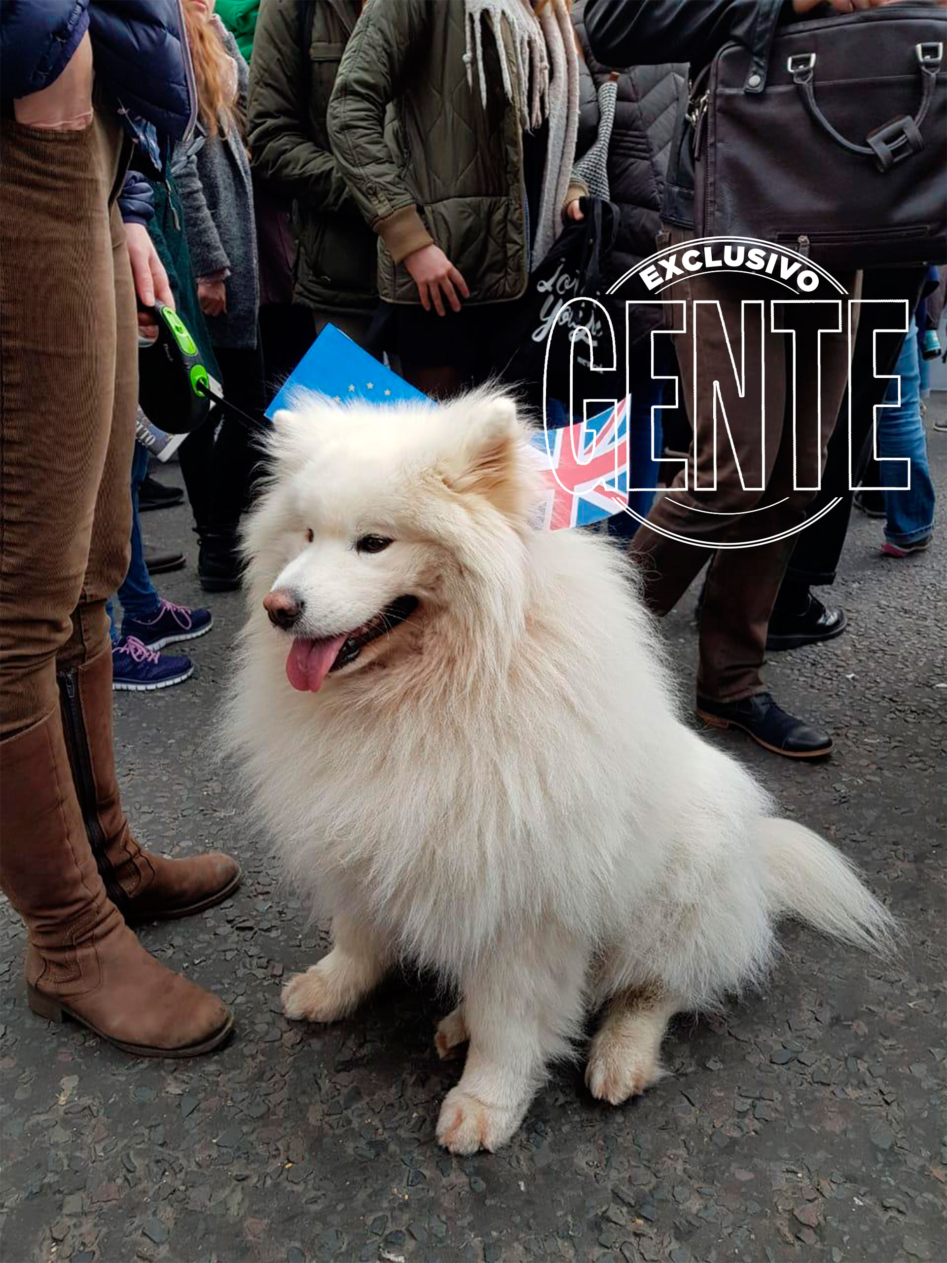 Nadie quedó fuera de la convocatoria. También las mascotas estuvieron presentes. Foto: Revista GENTE