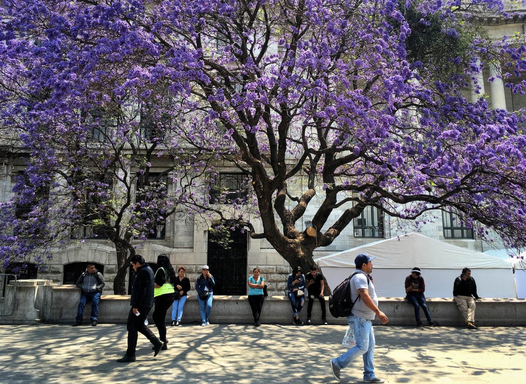 FOTO: CUARTOSCURO.COM