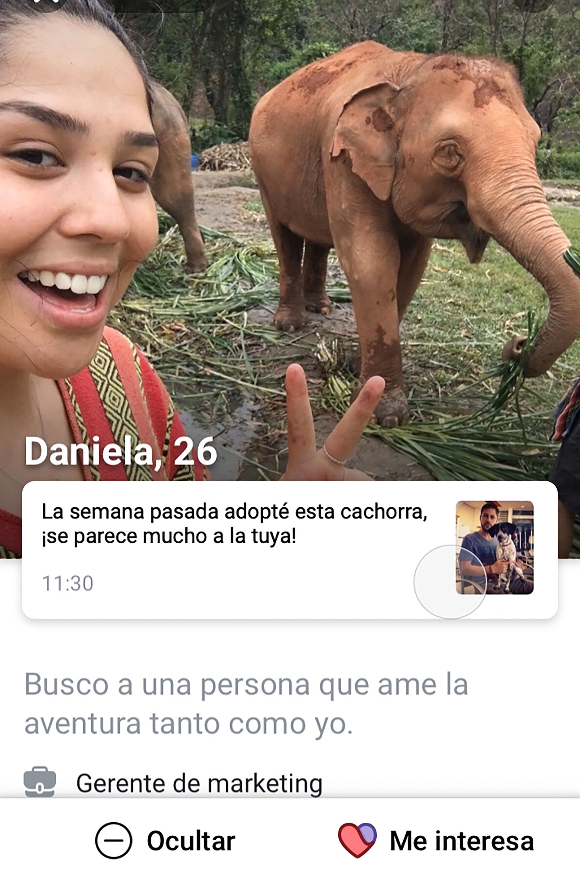 Los usuarios de Facebook Dating pueden completar su perfil con intereses y fotos.