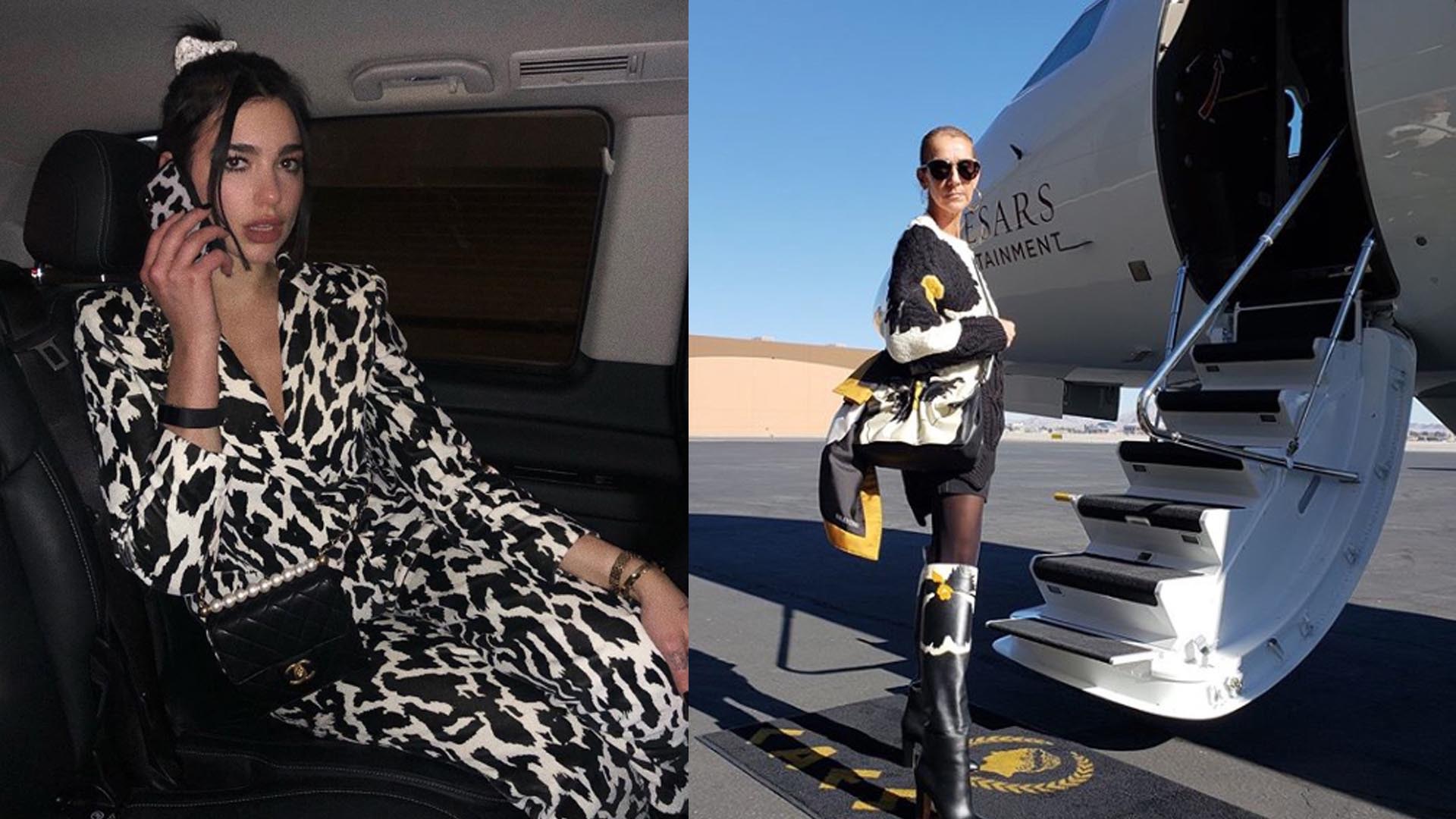 Dua Lipa y Celine Dion lo adoptaron.