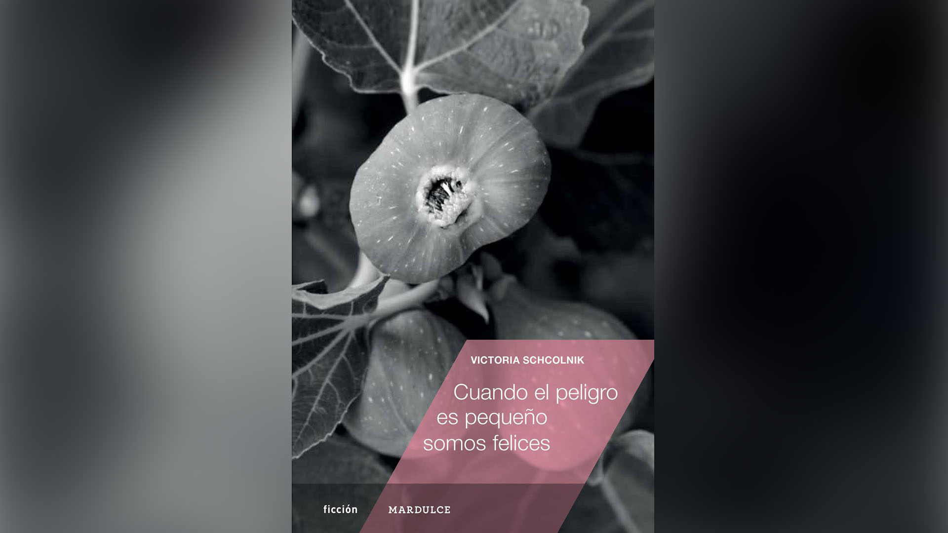 “Cuando el peligro es pequeño somos felices” (Mar Dulce), de Victoria Schcolnik
