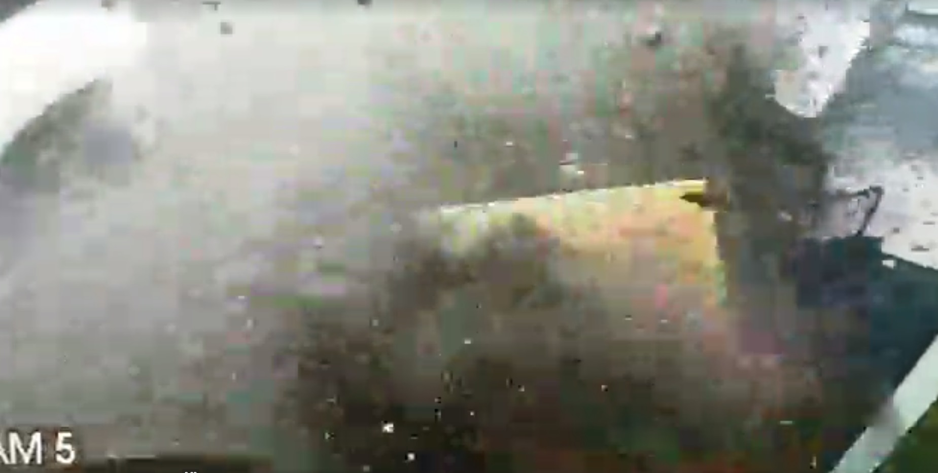 La policía dijo que la familia tuvo mucha suerte ya que no sufrieron daños mayores Foto: (Impresión de pantalla video Departamento de Napa)