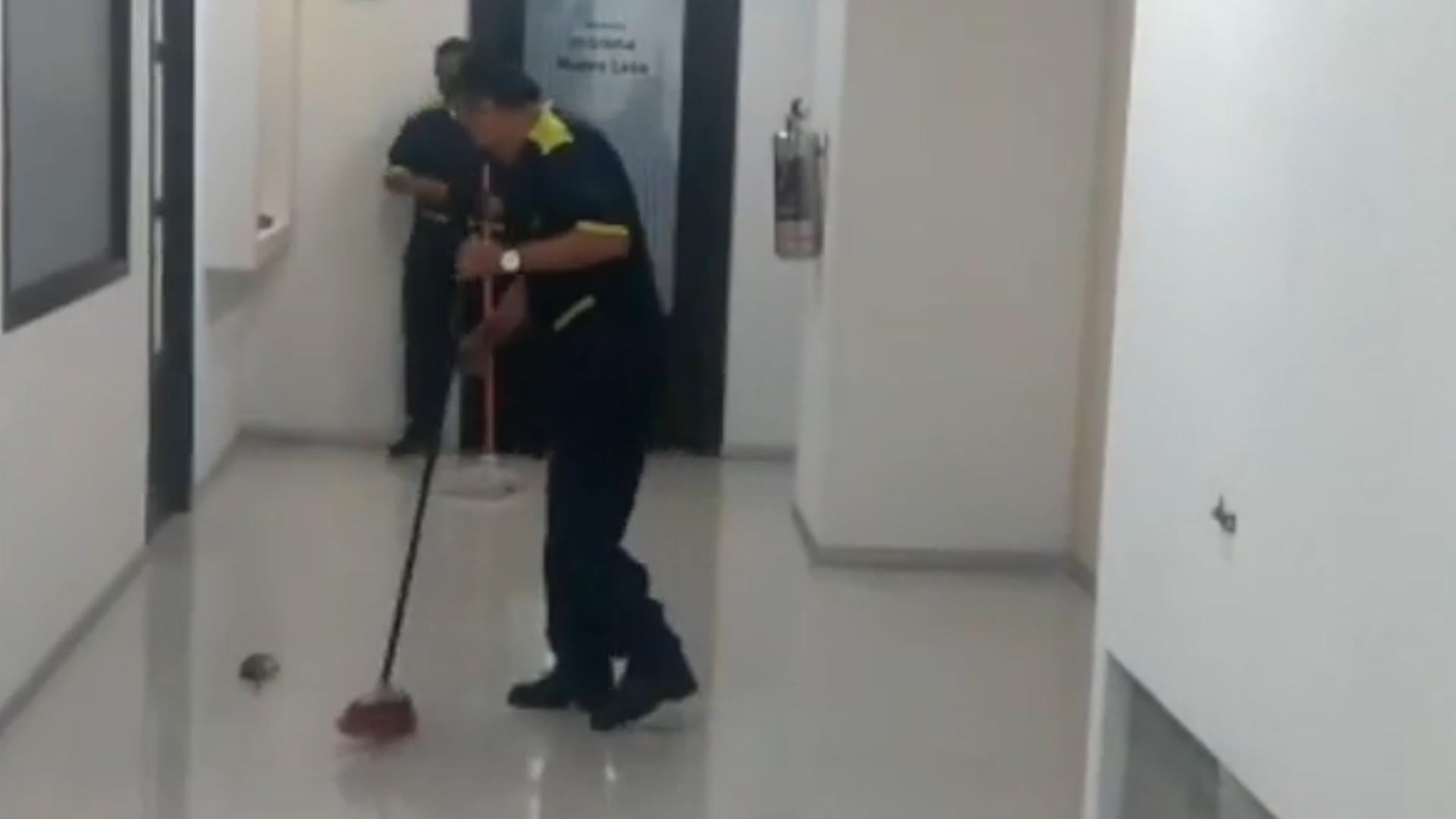 Momento en que los trabajadores consiguieron liquidar al roedor (Foto: captura de pantalla de video @Reforma)
