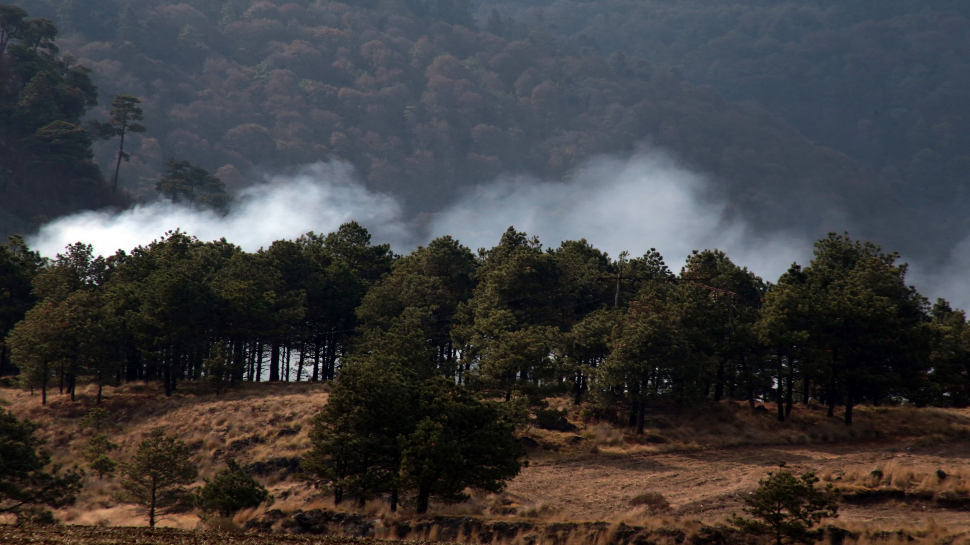 Las actividades agrícolas son la principal causa de incendios (Foto: Cuartoscuro)