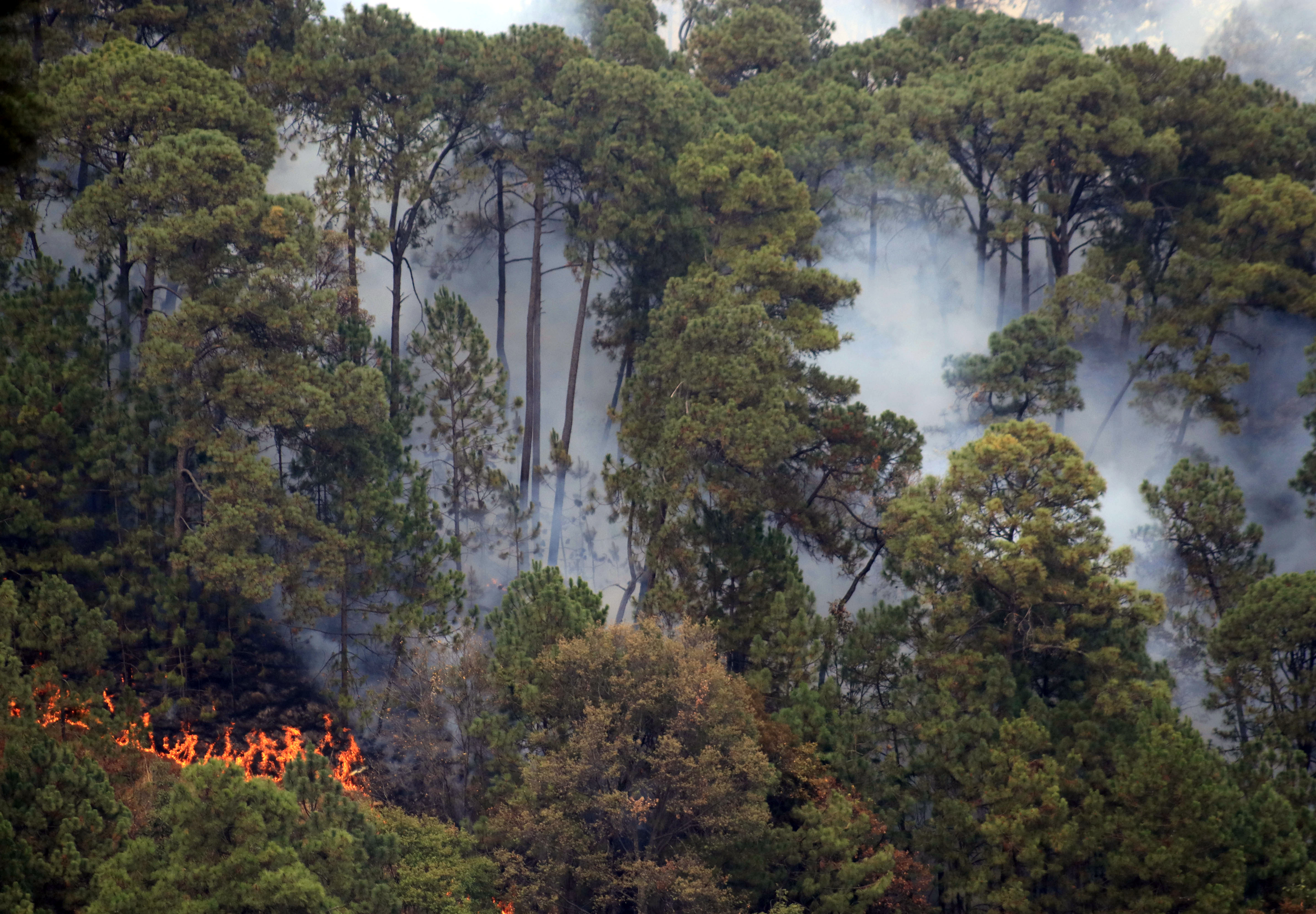 Este año, el número de incendios forestales registrados en los primeros cuatros meses son 33% menos que el año anterior (Foto: Margarito Pérez/ Cuartoscuro)