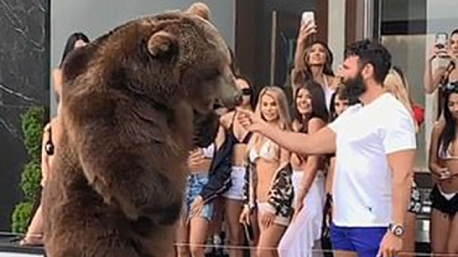 Como Se Hizo Rico Dan Bilzerian Dan Bilzerian - Infobae