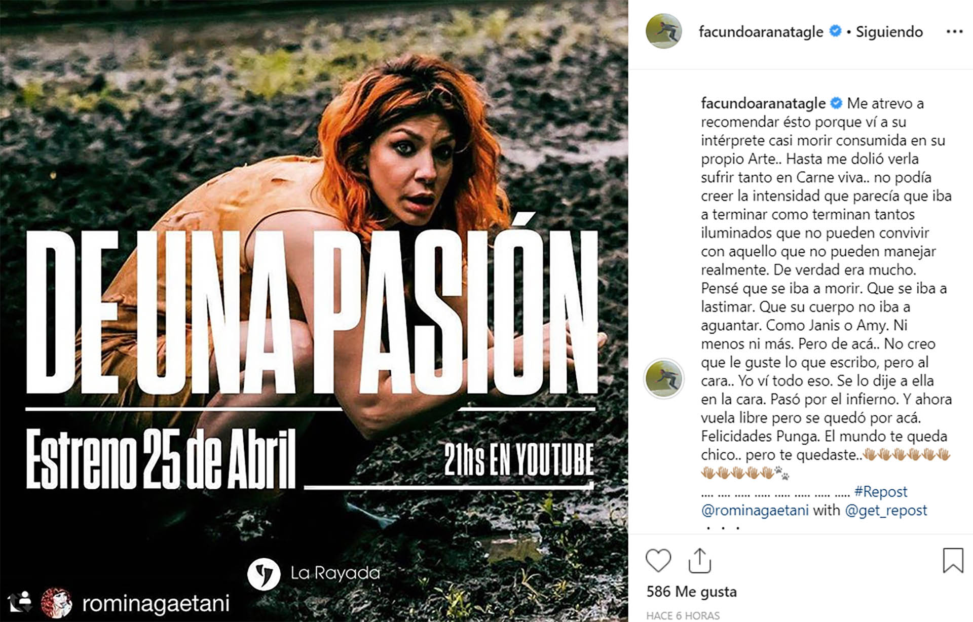 El fuerte mensaje que escribió Arana de Gaetani