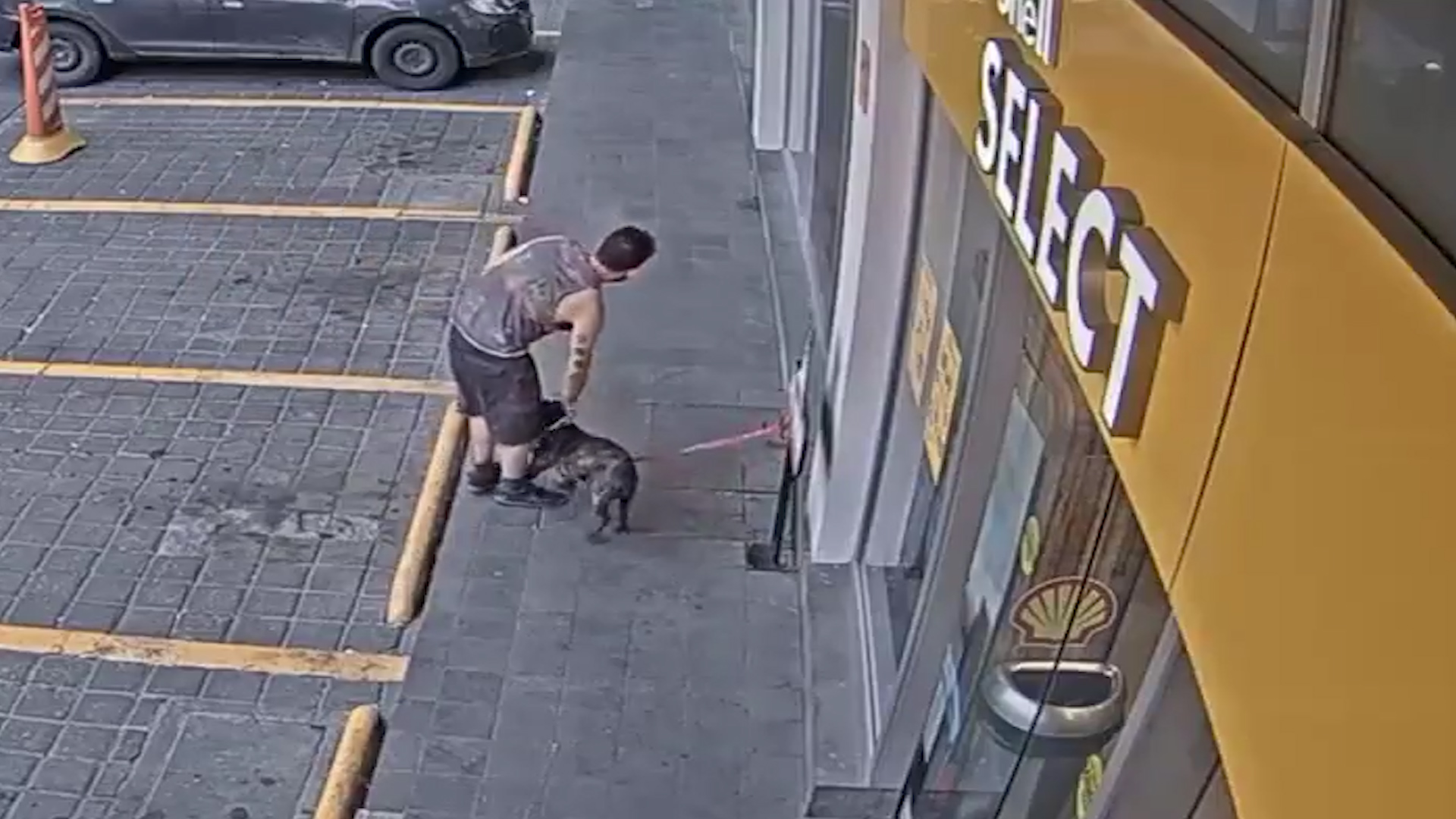 El sujeto aprovechó que no había nadie cerca para robar al perro (Foto: Especial)