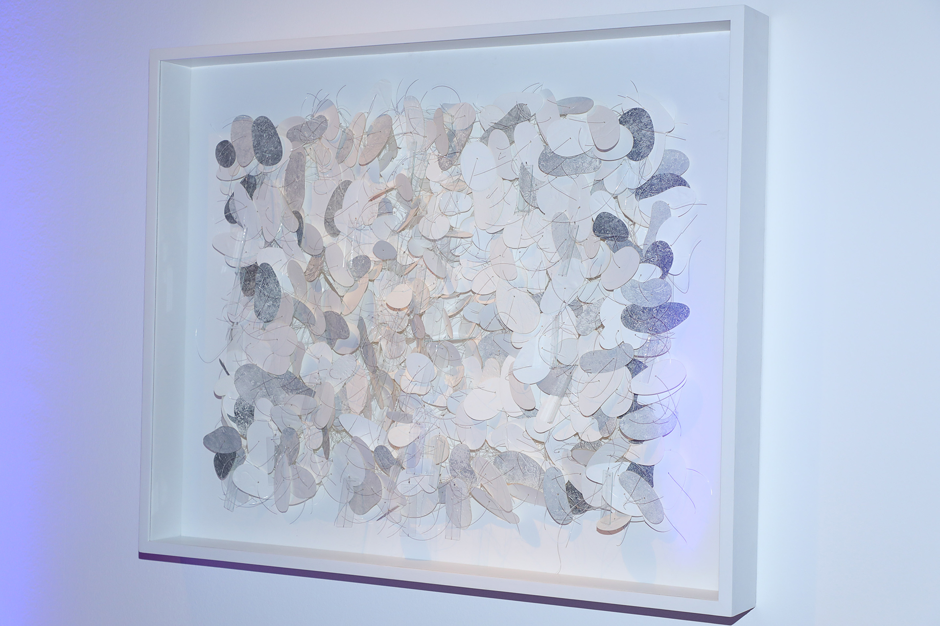 Obra de Silvia Brewda