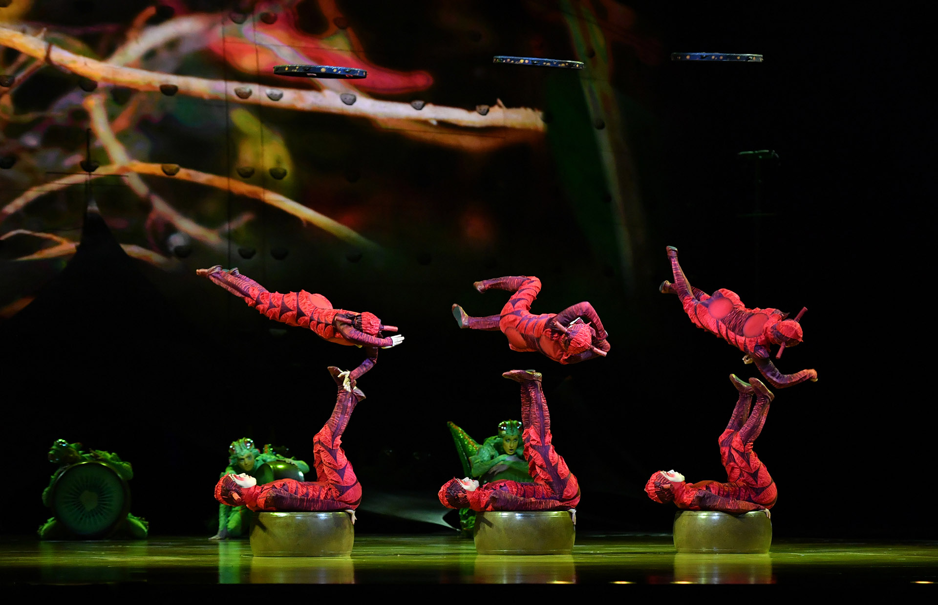 Las hormigas dan cuenta de su poder acrobático, al tiempo en que recogen alimentos (Cirque du Soleil)