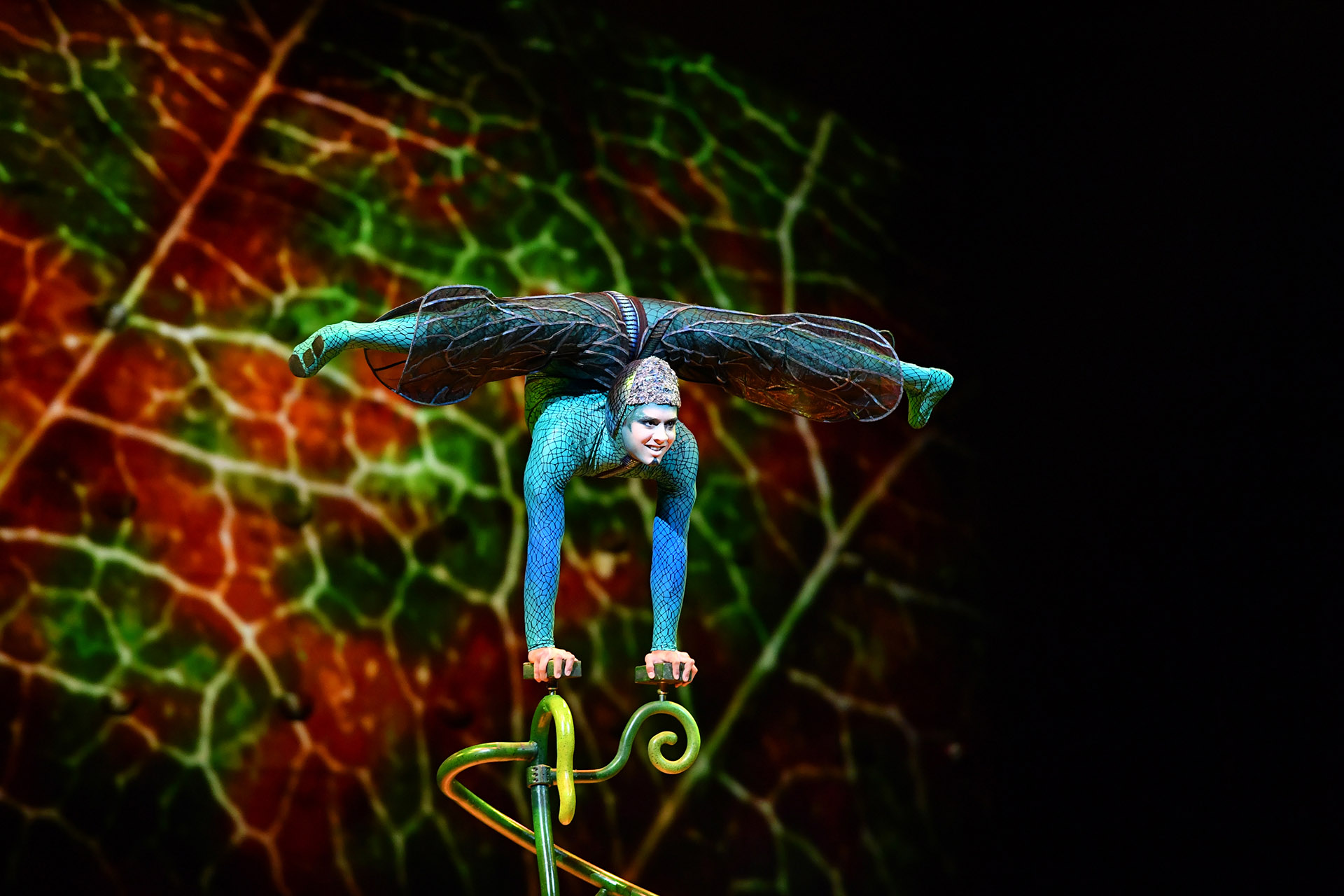 Luego de su estreno en Montreal, Canadá, “OvO” viajó por más de treinta ciudades en seis países distintos en el formato “Big Top Show” (Cirque du Soleil)