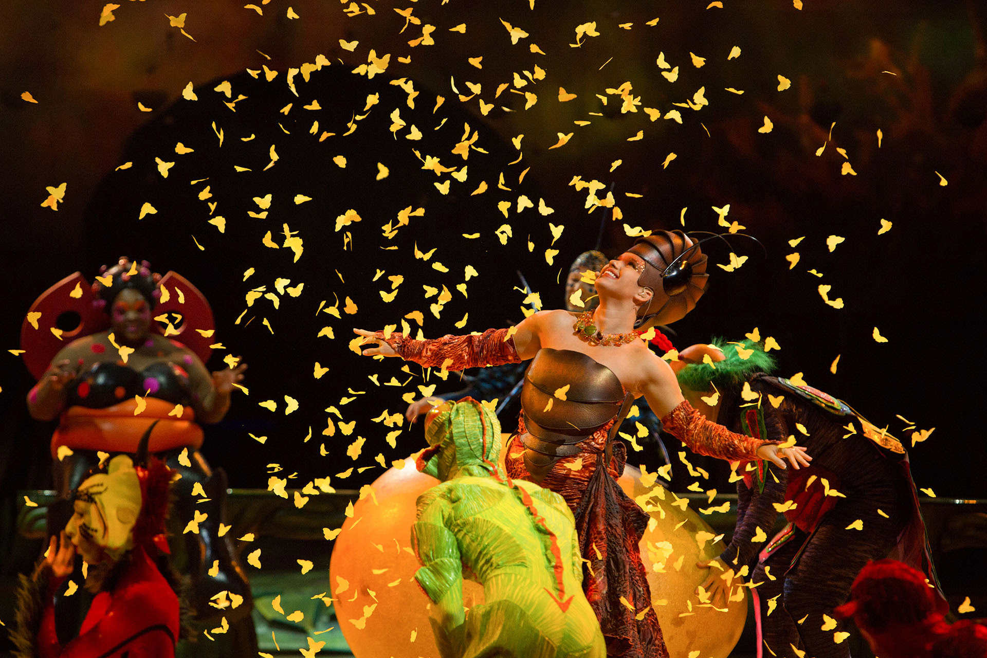 “OvO” es el show número 25 de la compañía fundada en Canadá y se estrenó en 2009 para conmemorar el primer cuarto de siglo del Cirque (Cirque du Soleil)