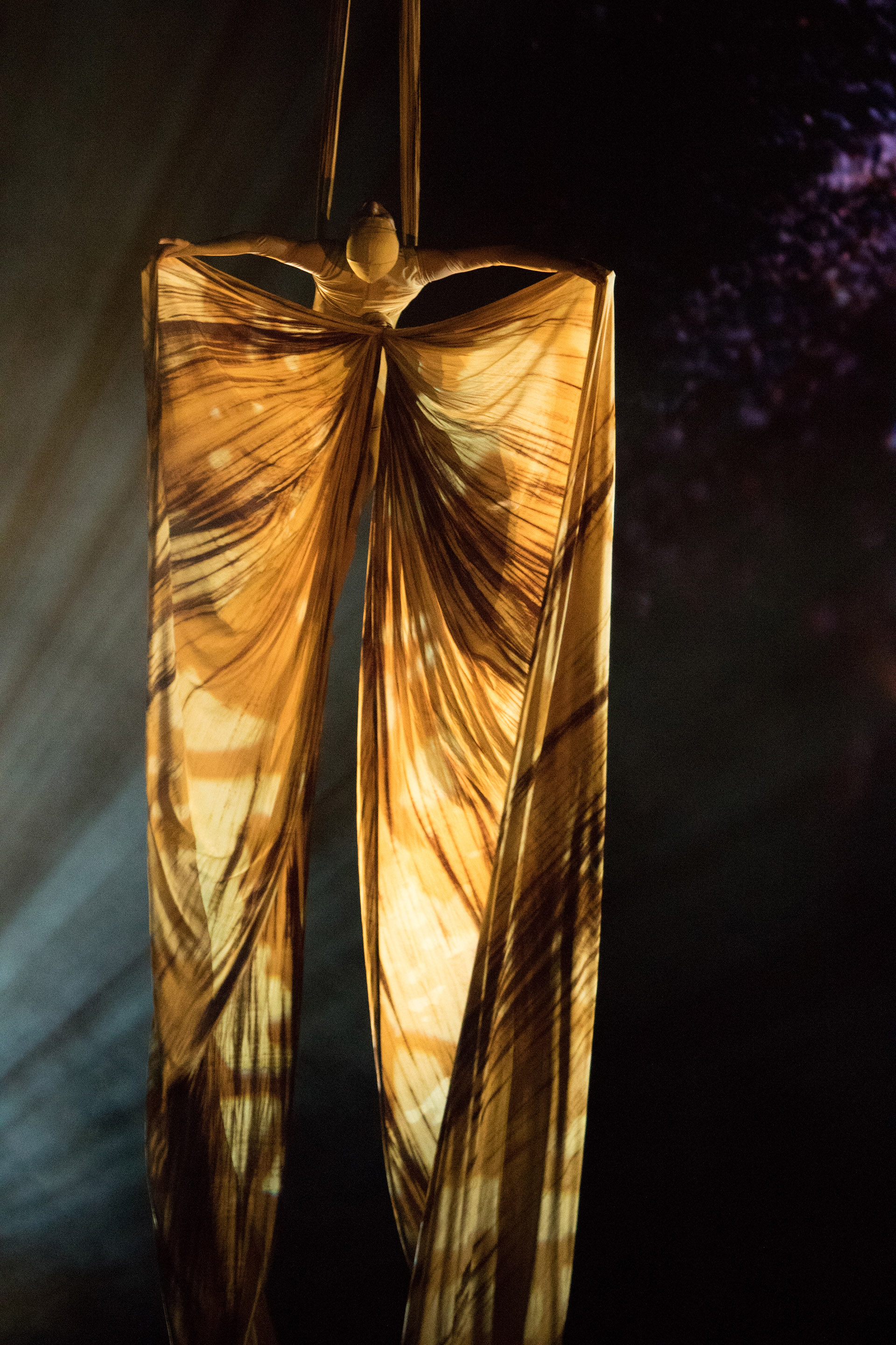 La oruga se convirtió en mariposa mediante un impactante truco volador (Cirque du Soleil)