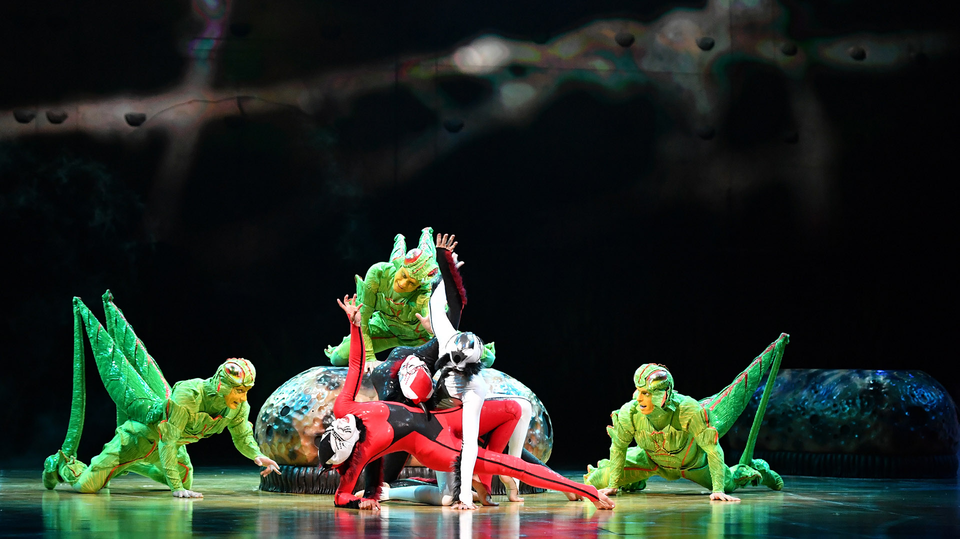 Los grillos también son parte de la historia de “OvO”, presentando sus elásticas formas, aptas para todo tipo de destrezas (Cirque du Soleil)