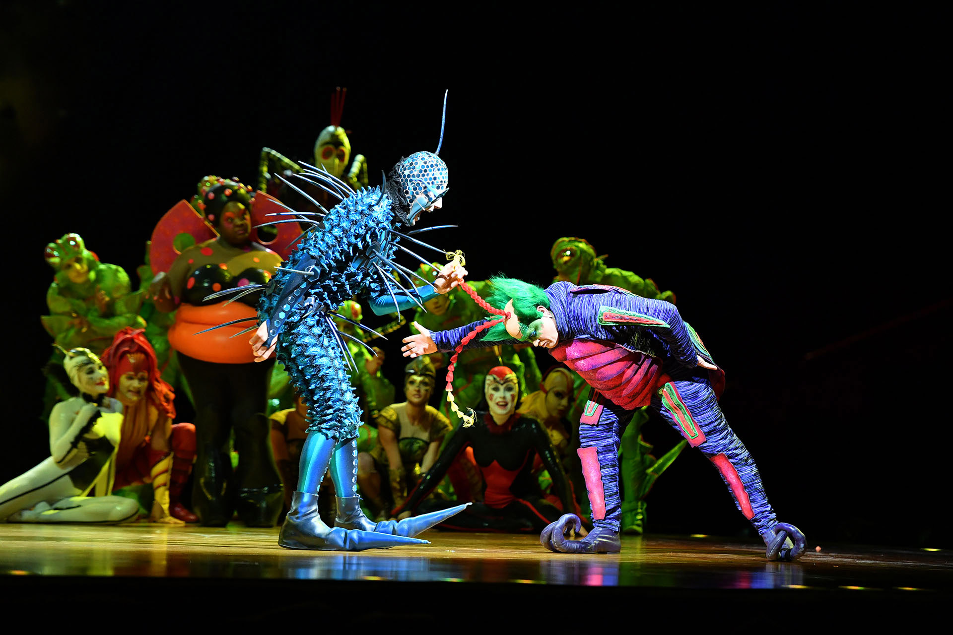 El “extranjero”, la mosca que llega con el huevo misterioso al ecosistema, se enfrenta a Master Flipo, jefe de la comarca (Cirque du Soleil)