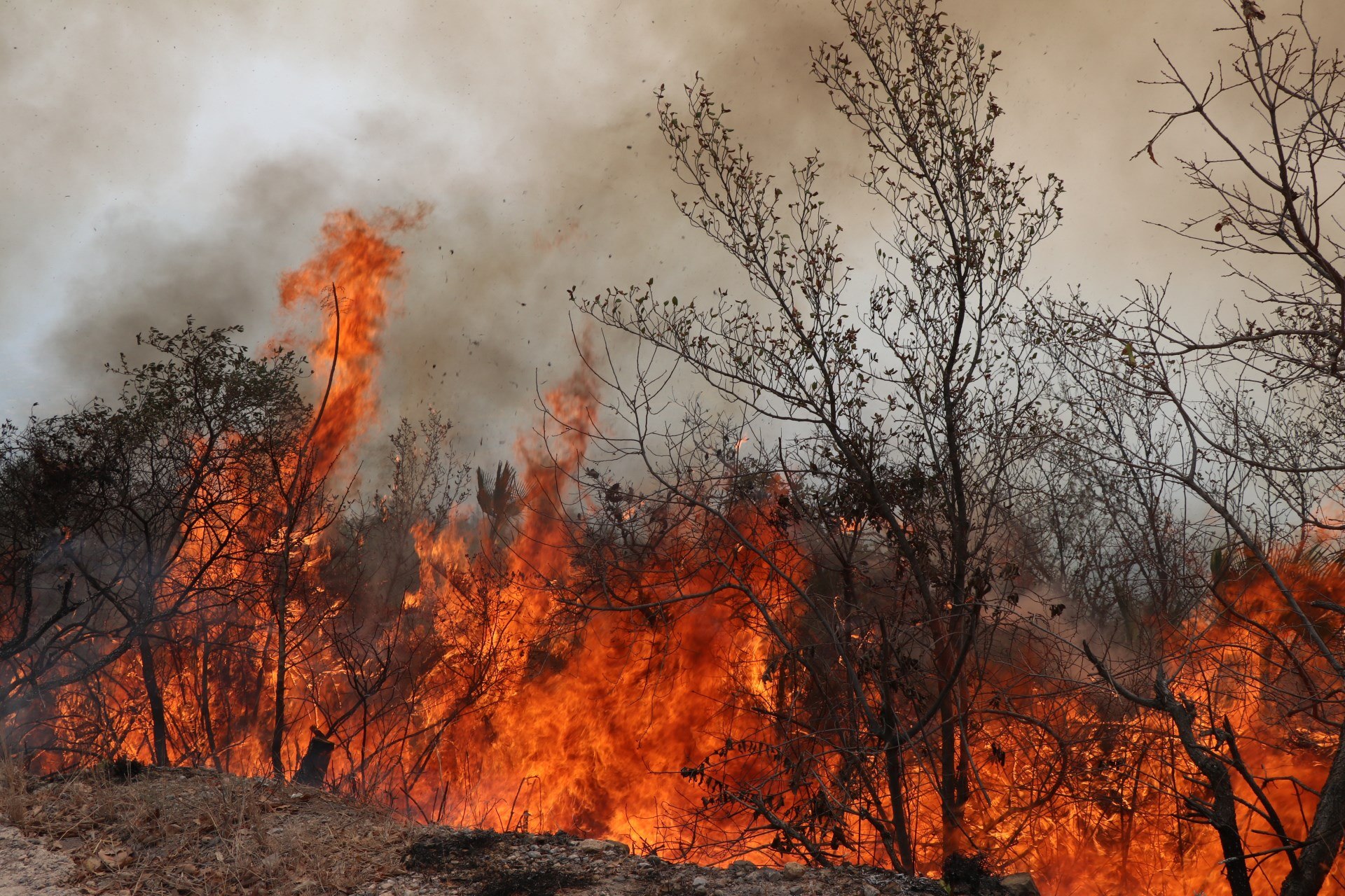 Los niveles de contaminación de este lunes responden al elevado número de incendios que se originaron en distintos puntos de México y Estado de México (Foto: EFE/Francisca Meza)