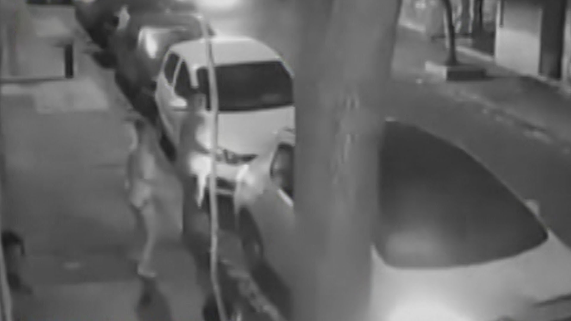 El violento robo quedó registrado en la cámara de seguridad de un vecino