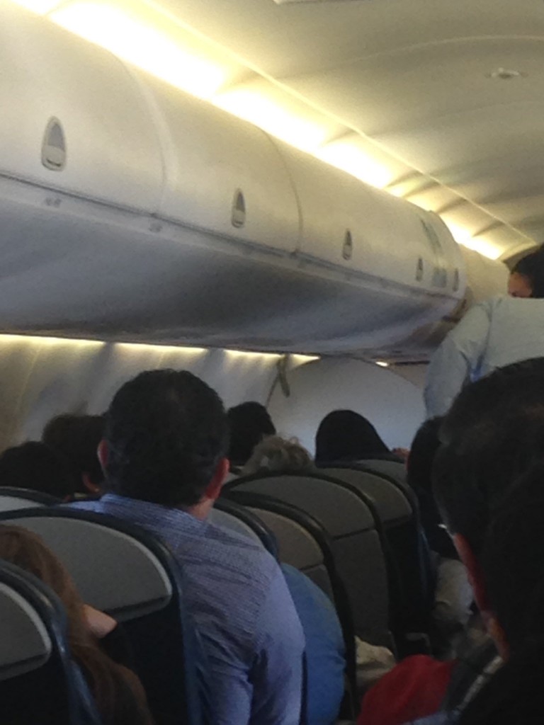 La foto de la serpiente en un vuelo de Aeromexico en 2016 (Foto: Archivo)