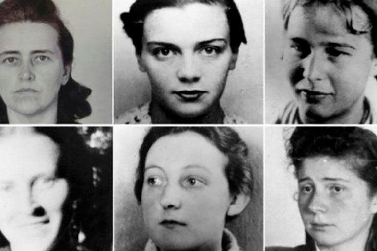 La mayor parte de los cuerpos experimentados por Stieve eran de mujeres