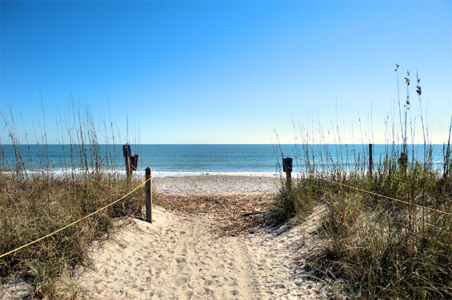 El rastreador de Caroline indicó que nadaba cerca de Edisto Beach, en Charlestone (Foto: especial)