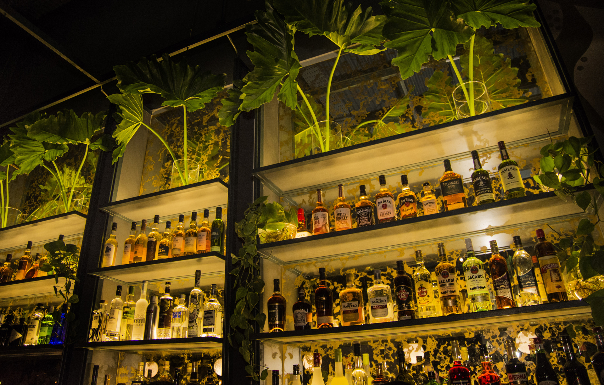 Una exclusiva barra de tragos no falta en Enero. Diseñada por Sebastián Atienza, los cocktails son de autor y se pueden pedir en ambas barras