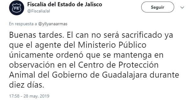 La Fiscalía de Jalisco desmintió que el animal fuera sacrificado (Foto: Twitter @FiscaliaJal)