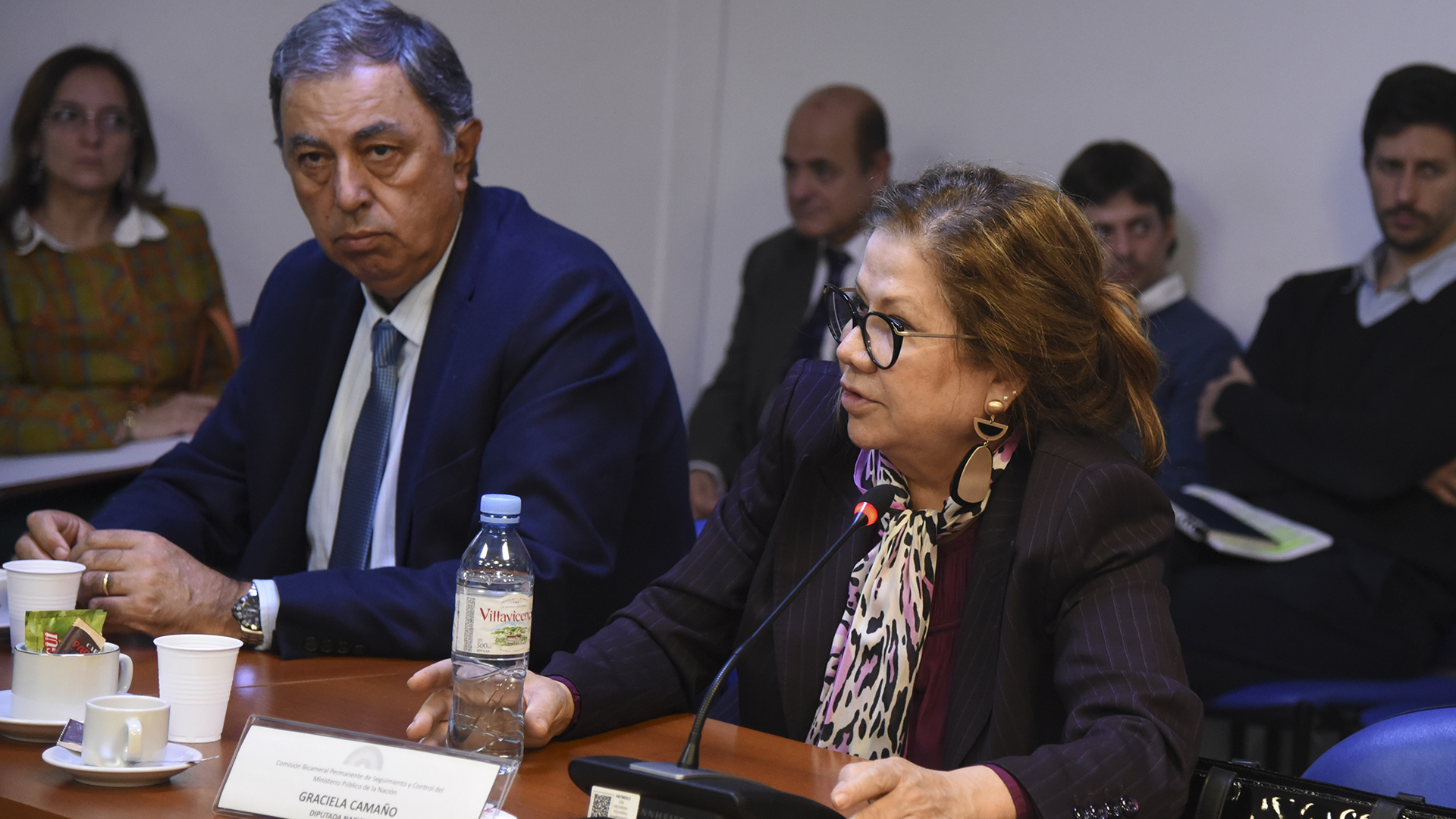 (Cámara de Diputados de la Nación)