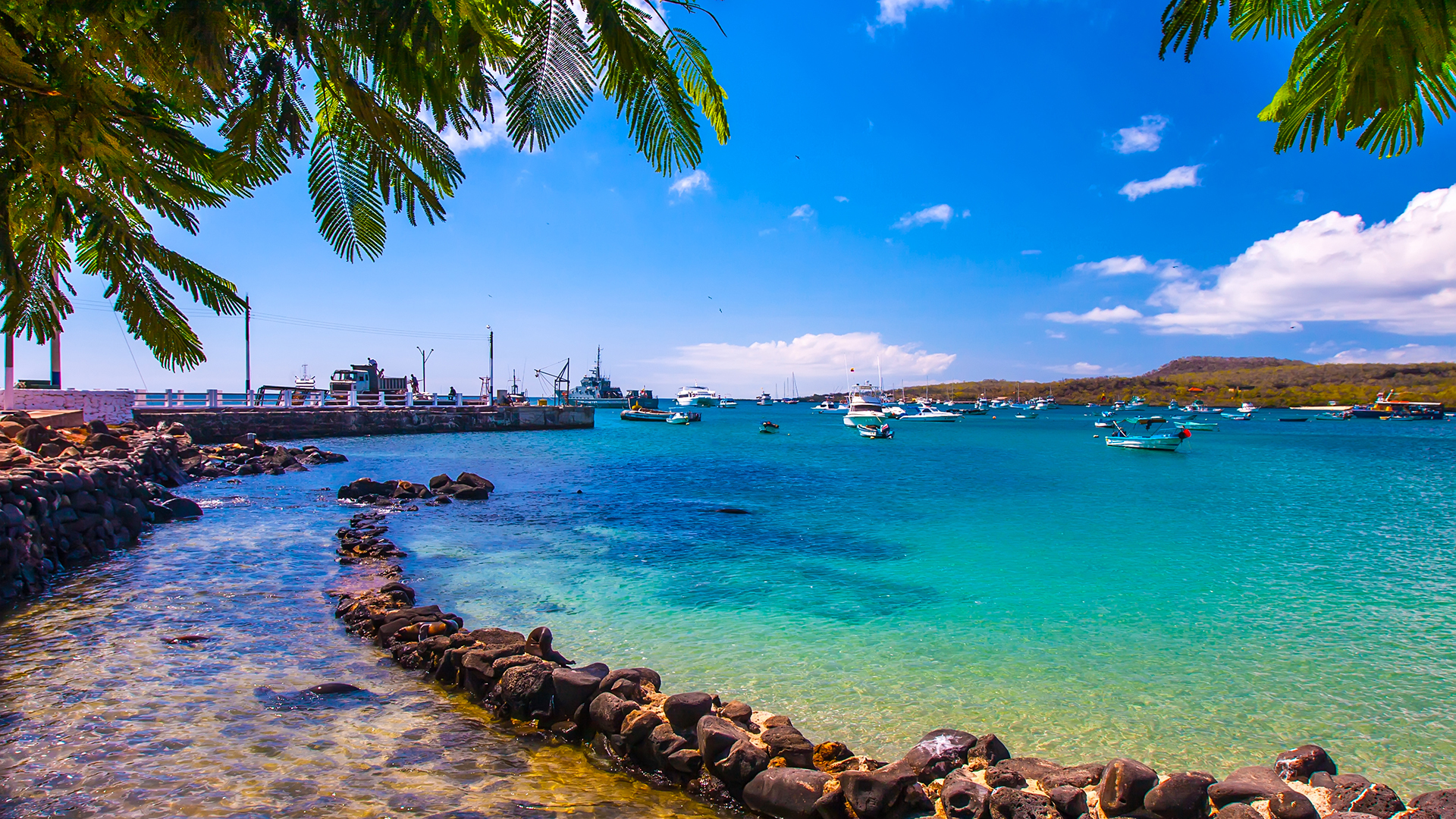 Las Islas Galápagos tienen mucha valoración internacional que ayuda a su conservación, siendo considerado Patrimonio Natural de la Humanidad