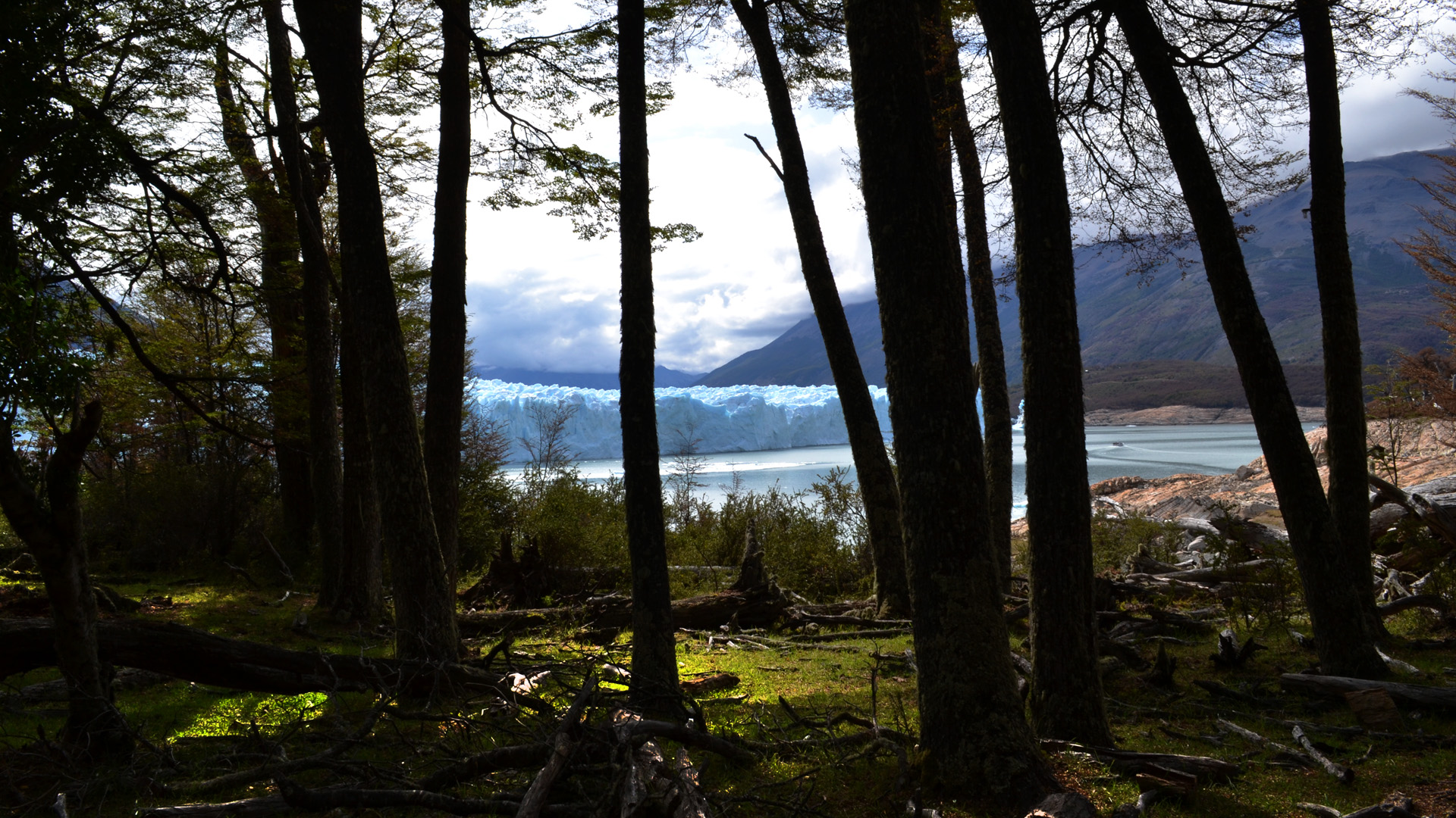 Los glaciares están presentes en 12 provincias y 39 cuencas hídricas desde los 21°S hasta los 60,5°S. Esta importante extensión determina diferentes variaciones en el clima y la topografía y dan lugar a la formación de glaciares con características particulares según la región (Foto del Glaciar Perito Moreno)